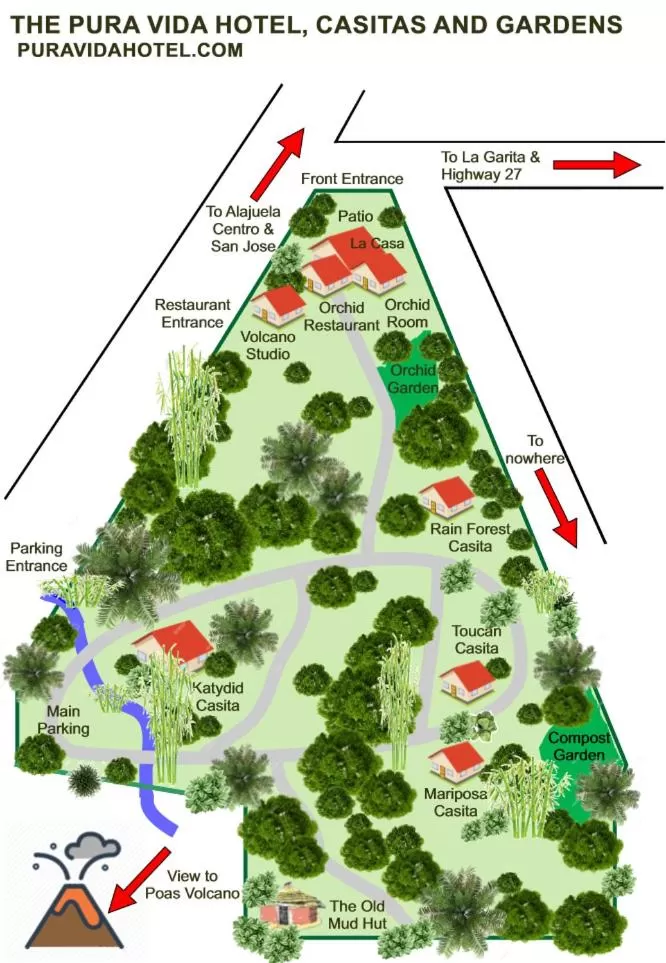 Other in Pura Vida Hotel