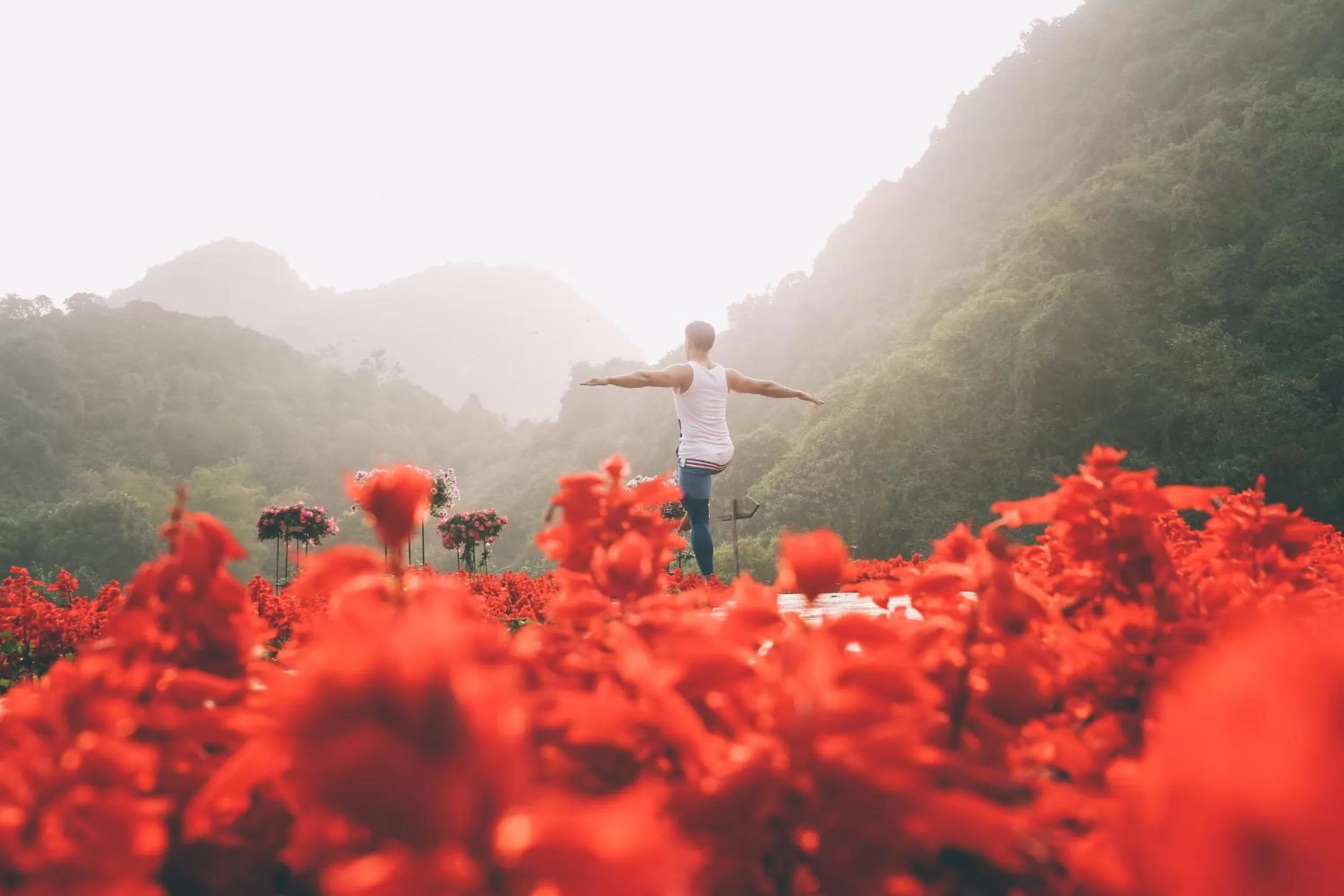 Natural landscape in Thung Nham Resort