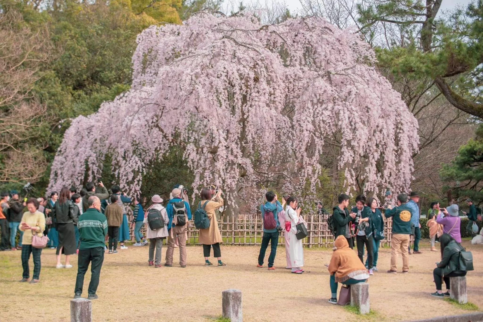 Nearby landmark in Hotel Ninja Black