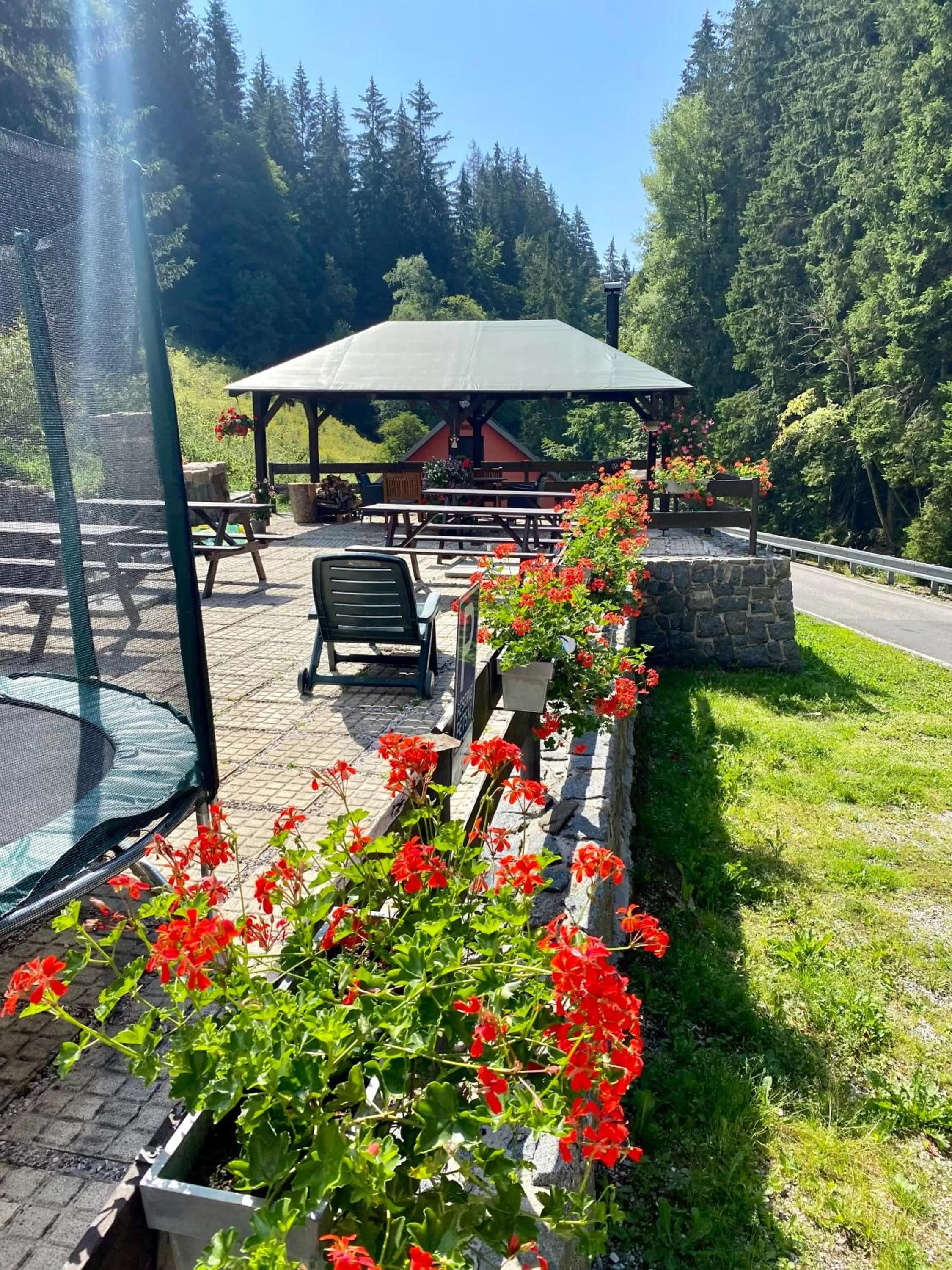 Garden in Hotel Petski