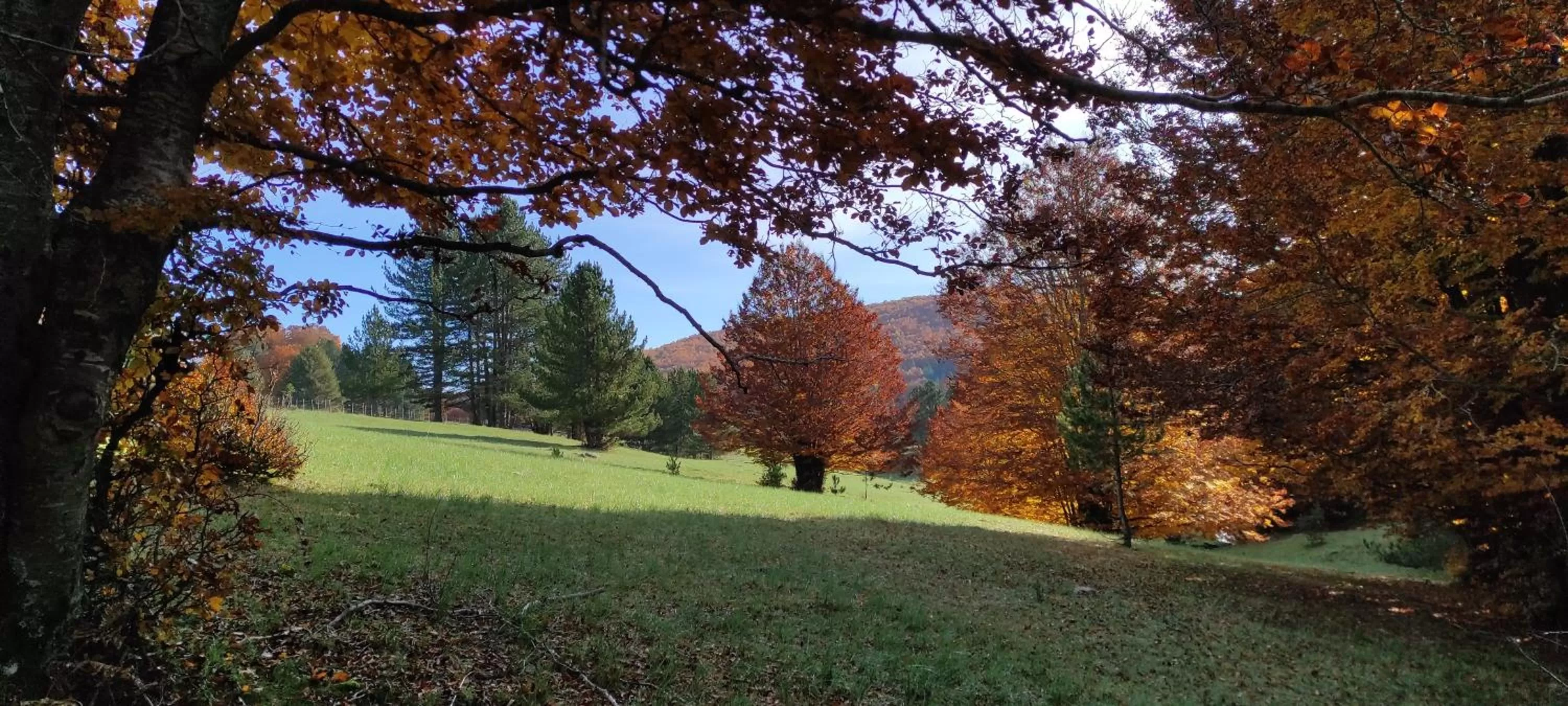 Garden in Chalet Lago