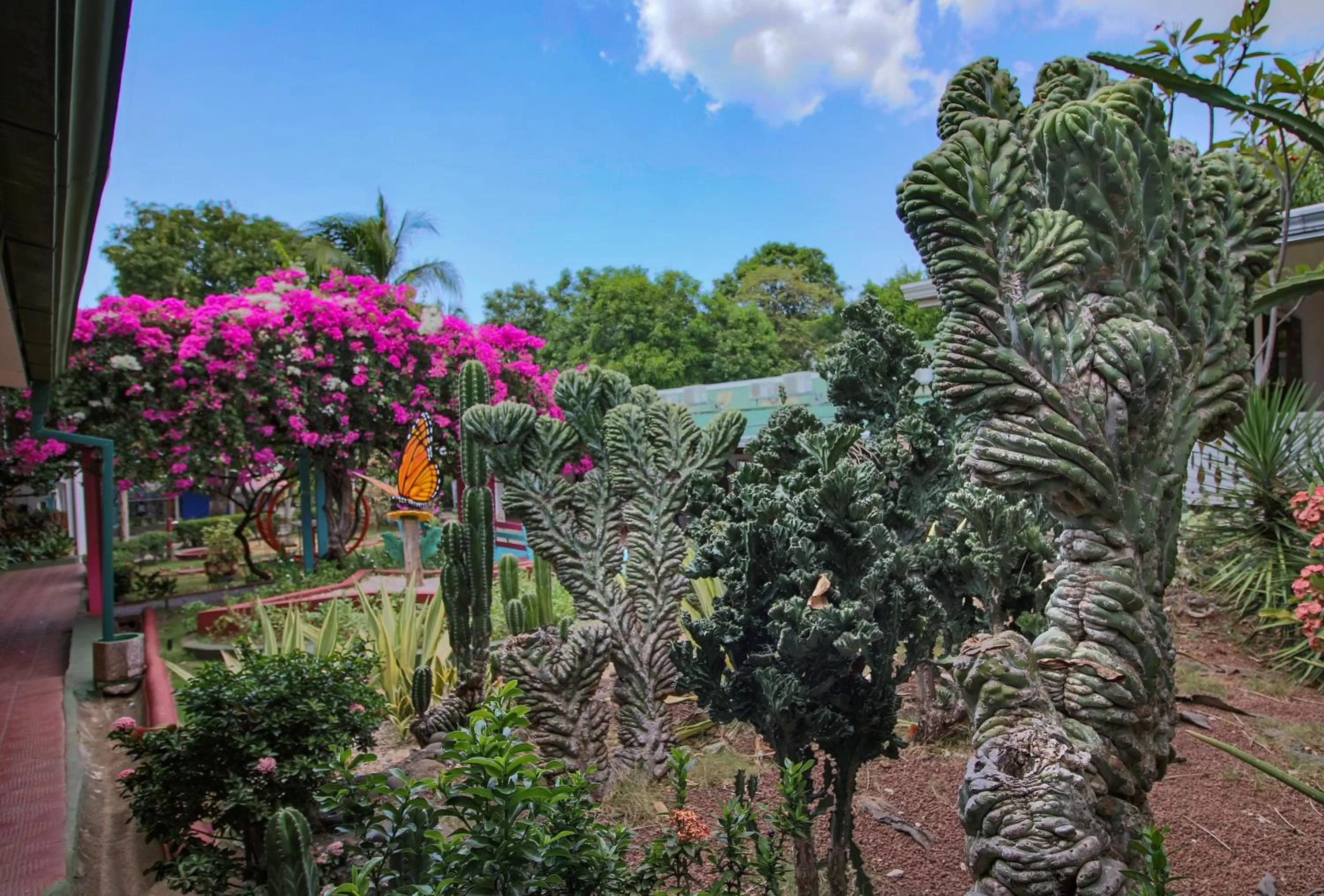 Garden in Hotel Marielos