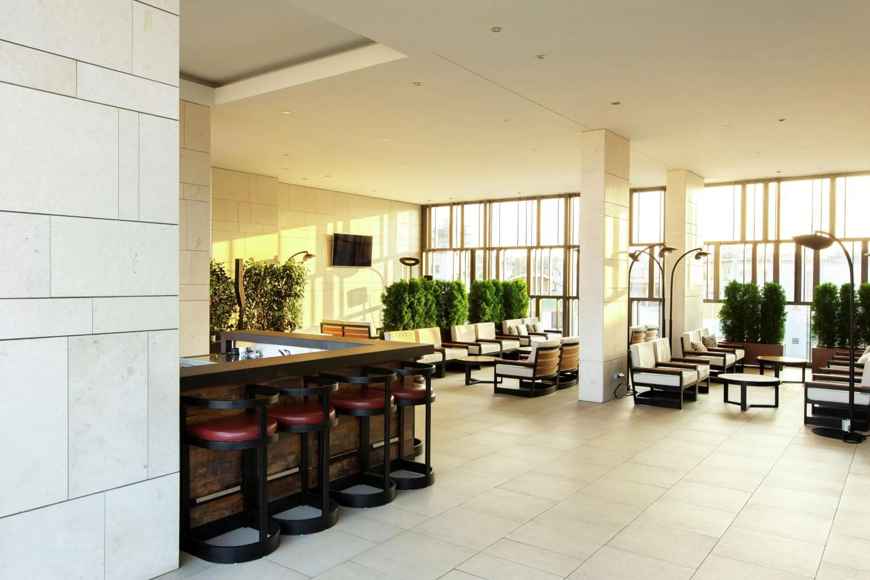 Lounge or bar in Hilton Belgrade