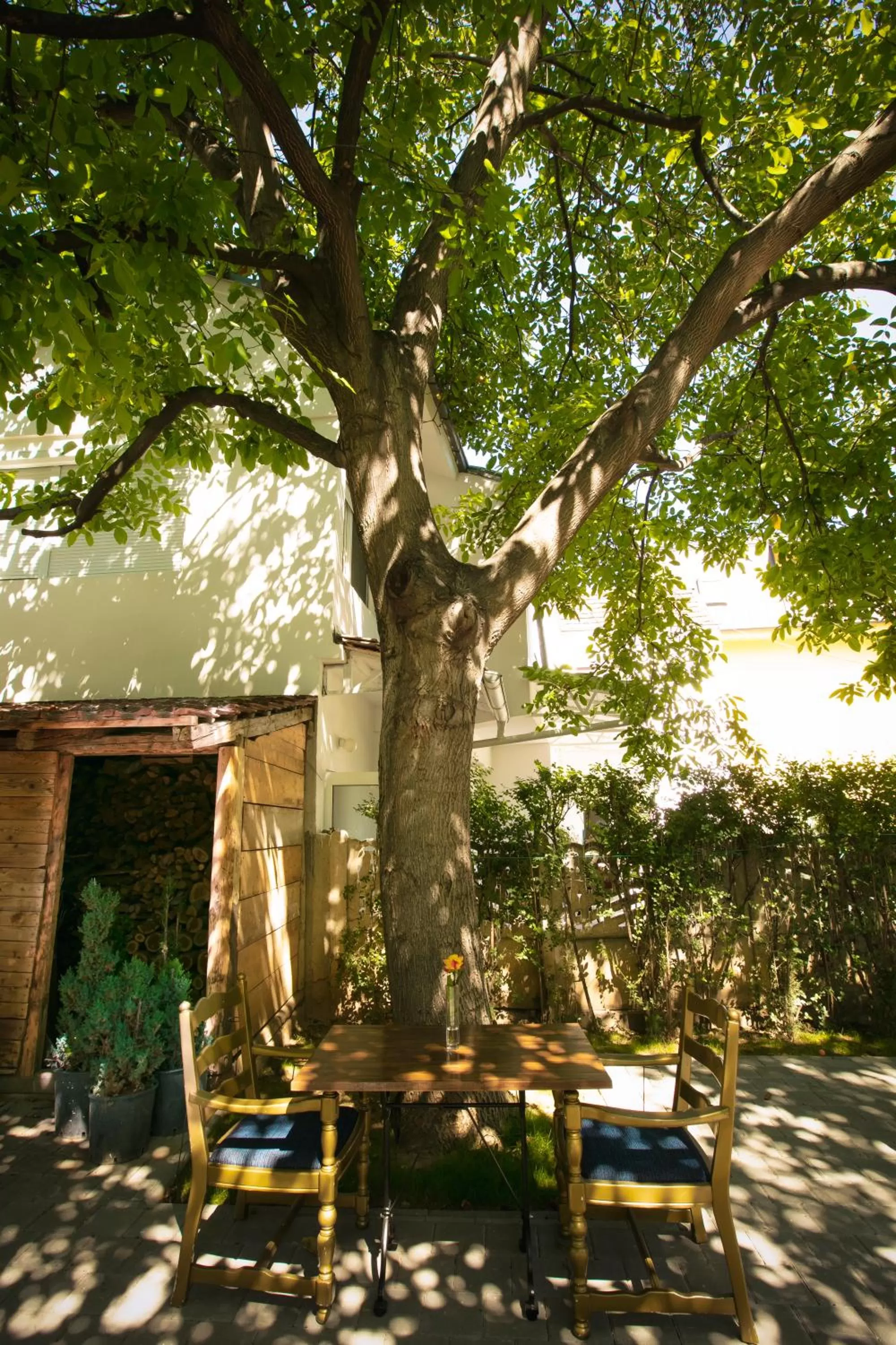 Garden view in Grand Boutique Hotel