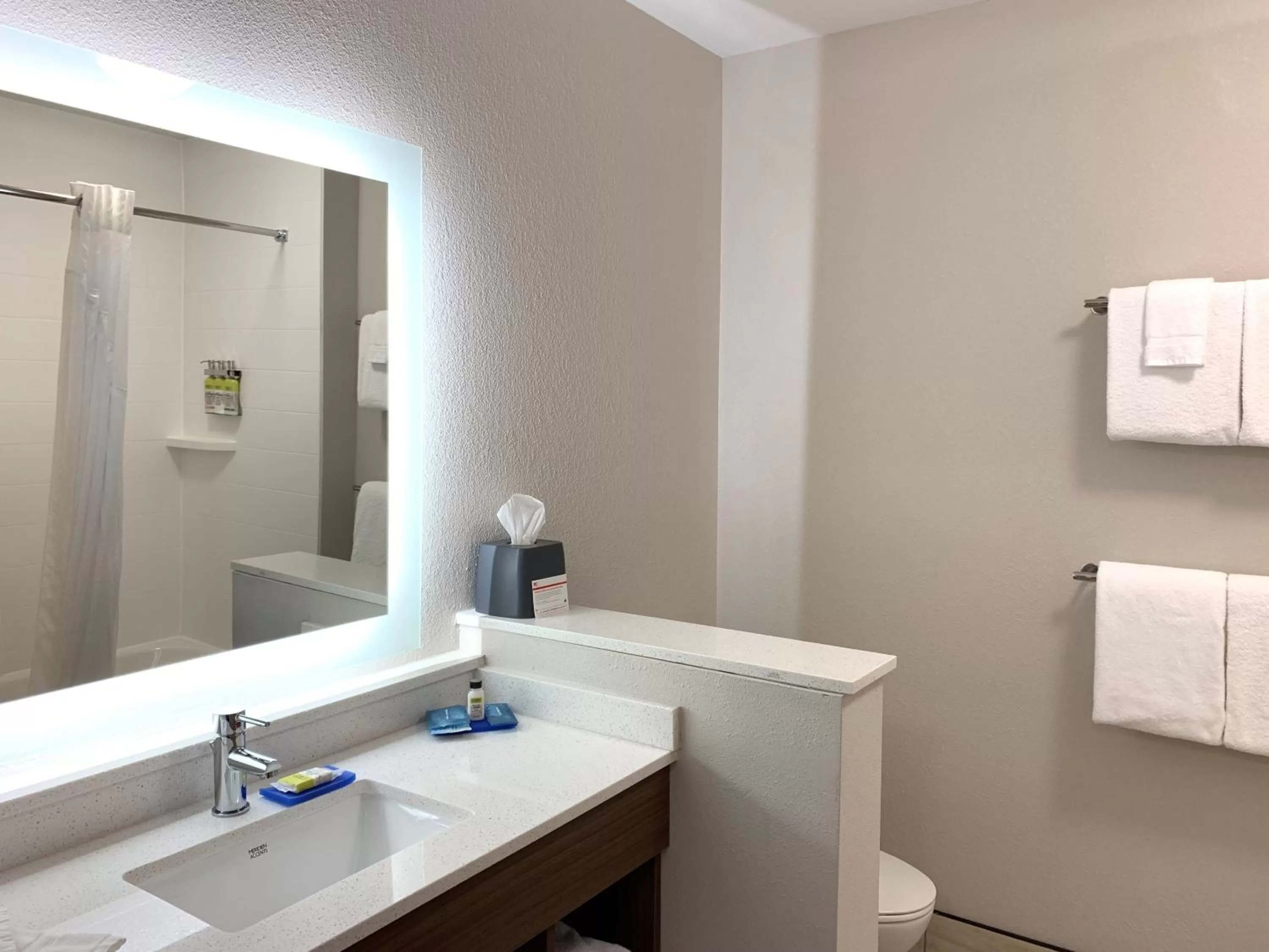 Queen Room with Two Queen Beds - Hearing Accessible in Holiday Inn Express & Suites Danville, an IHG Hotel