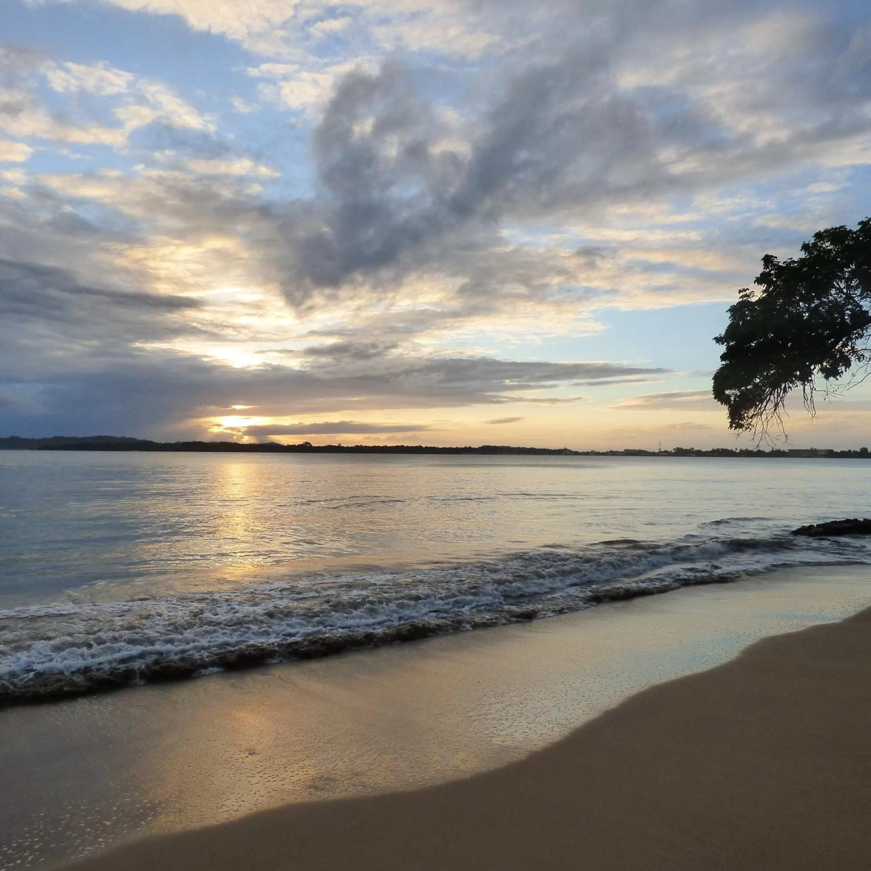 View (from property/room) in Sand Dollar Beach Bed & Breakfast