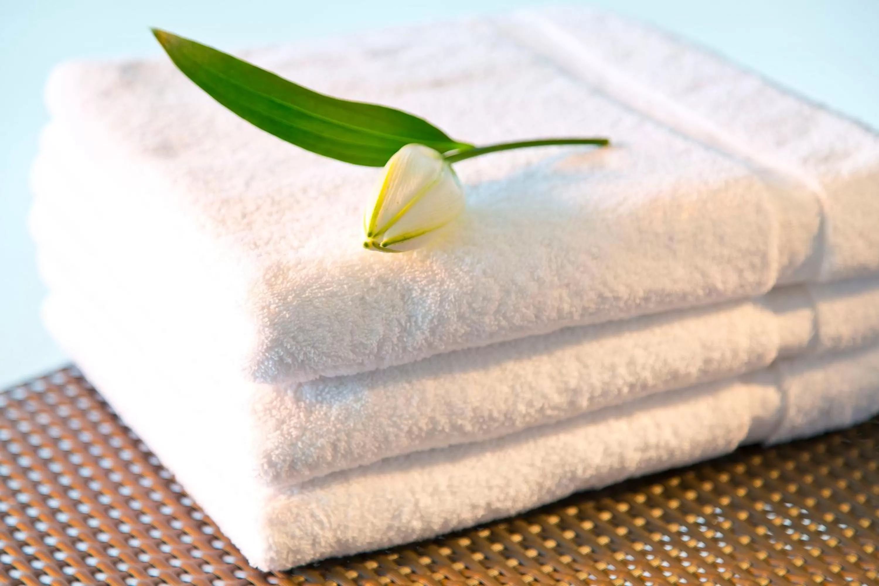 Decorative detail in Hotel Penz West