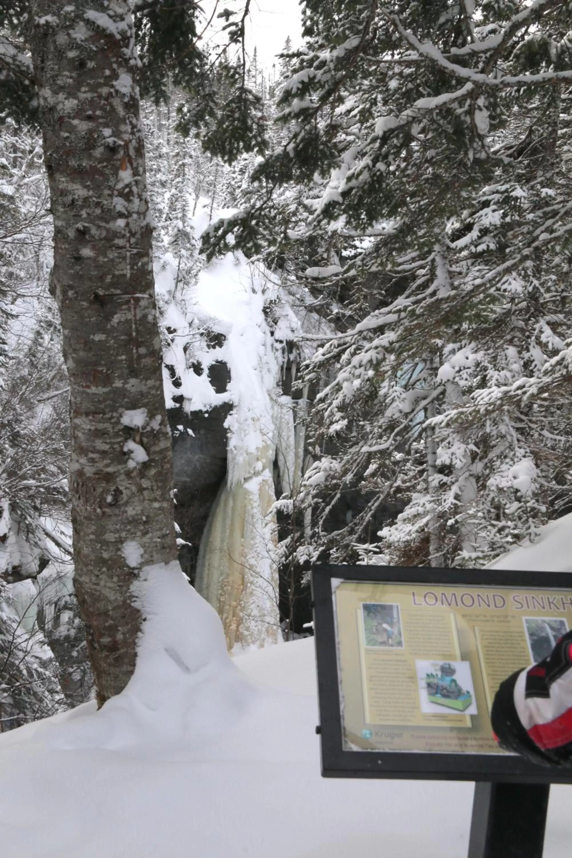 Nearby landmark in Deer Lake Horizon Hotel, BW Signature Collection