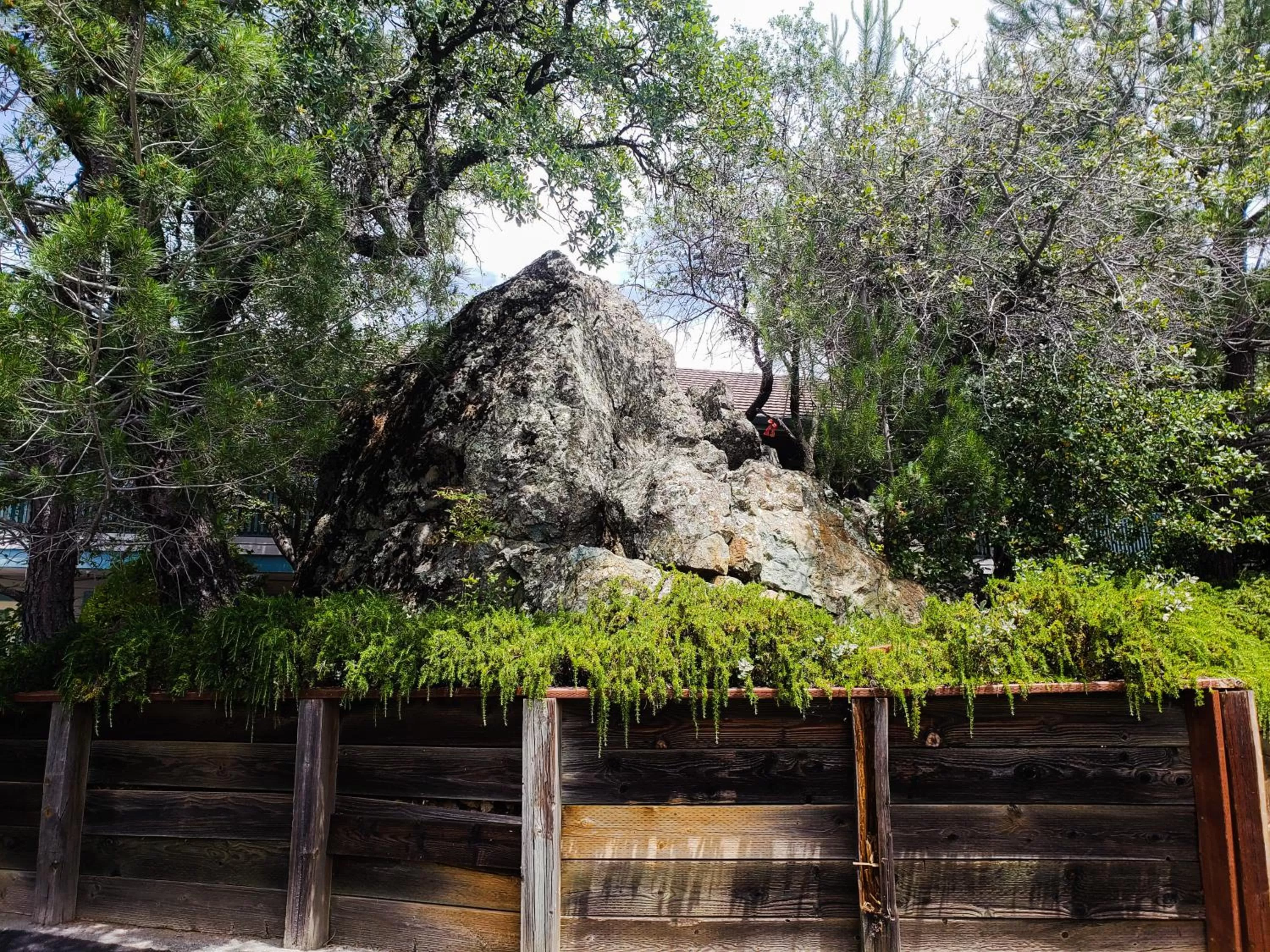 Garden in Super 8 by Wyndham Auburn