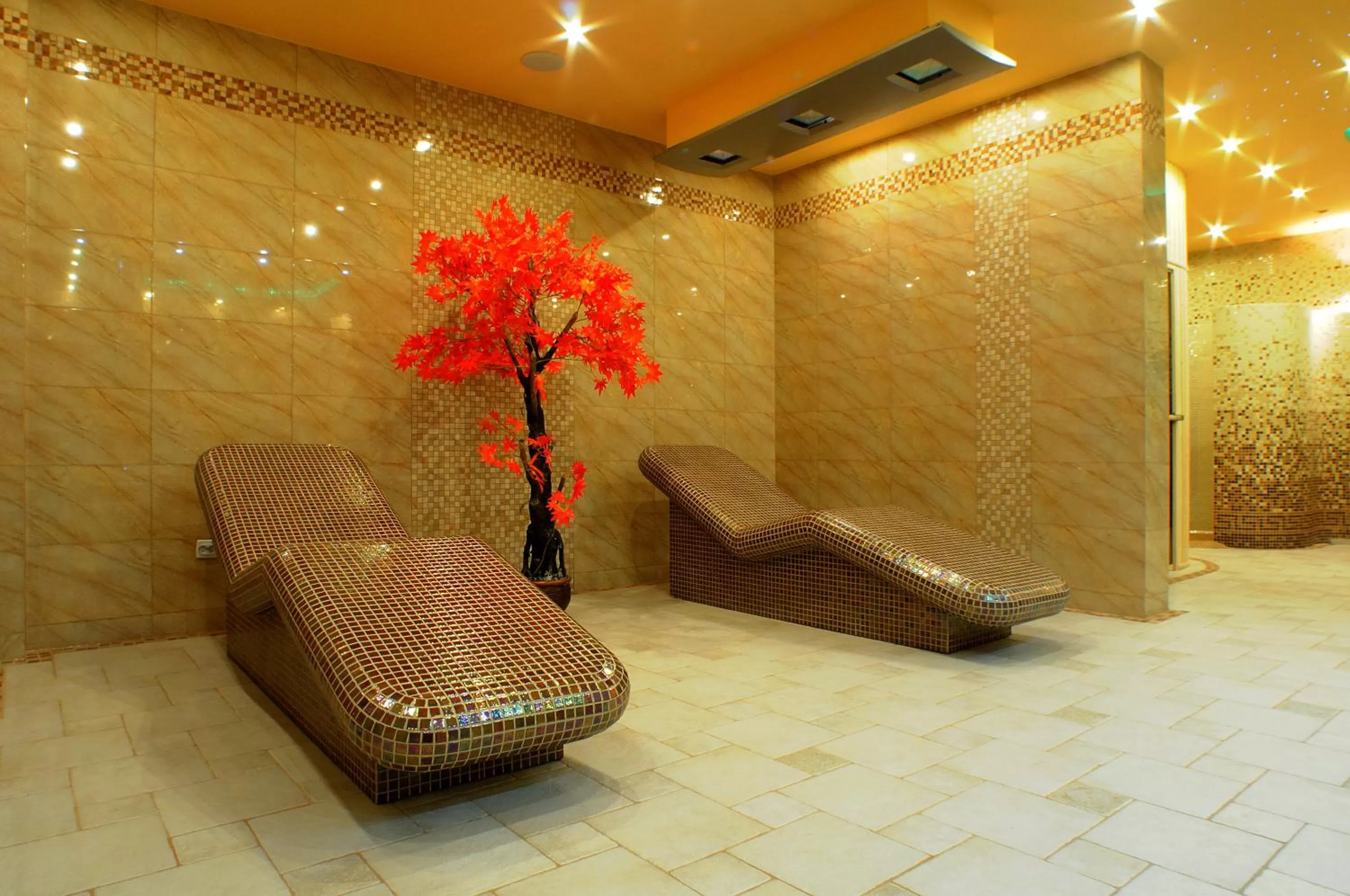Spa and wellness centre/facilities in Hotel i Restauracja Bona