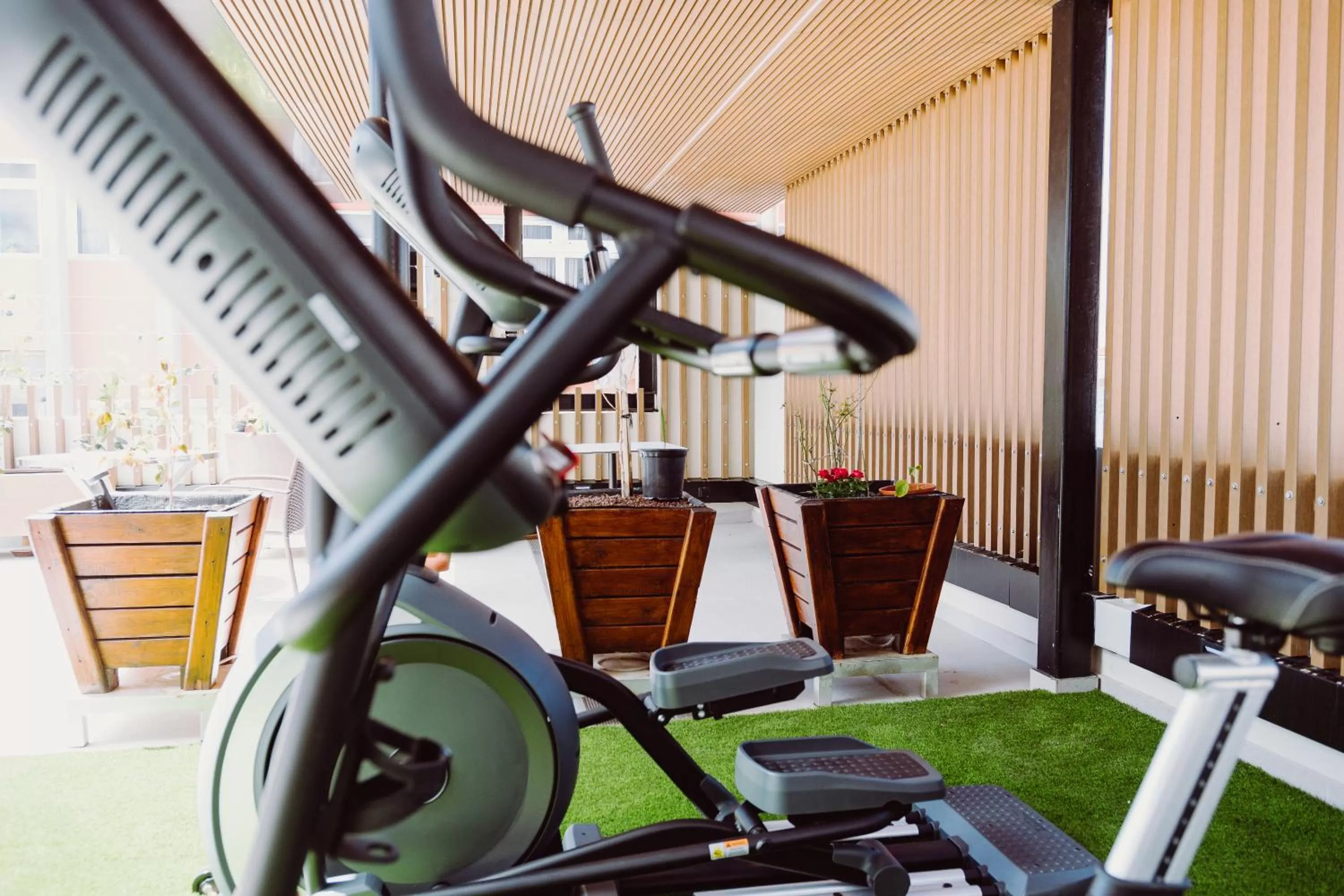 Entertainment in Catalina Plaza Hotel Sostenible