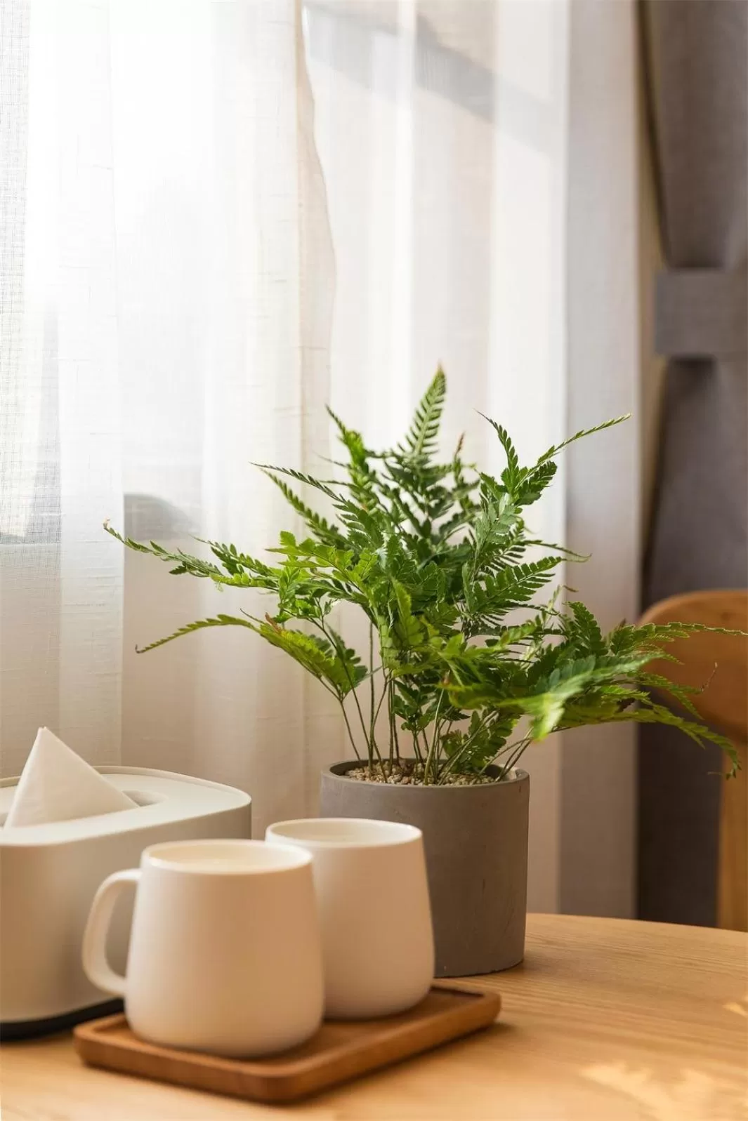 Decorative detail in Wander Hostel