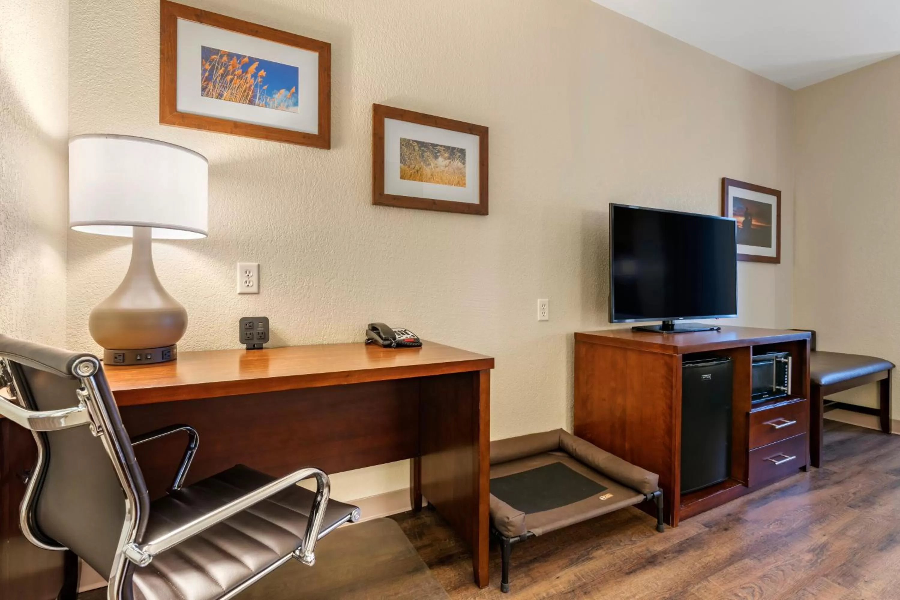 Photo of the whole room in Comfort Suites Fernley