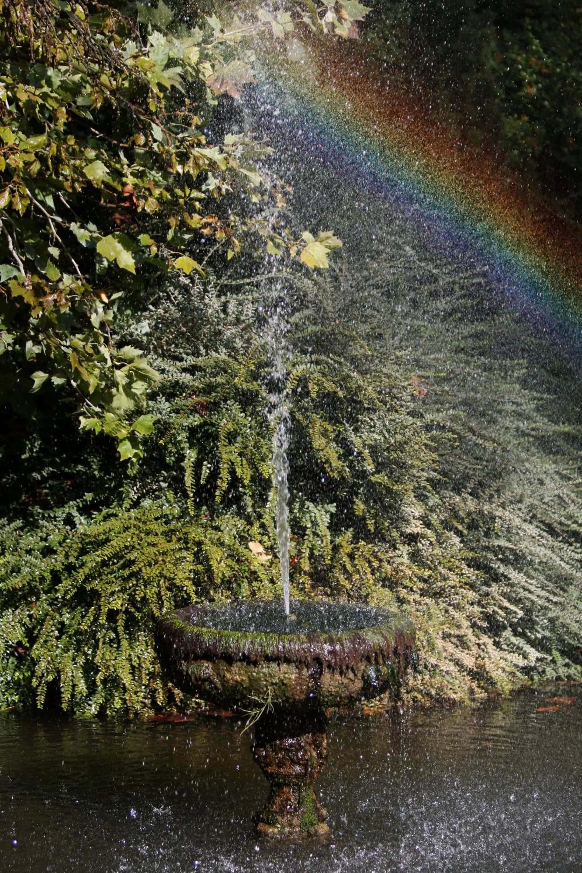 Area and facilities in Belle Isle Sur Risle - Chateau Hotel & Spa