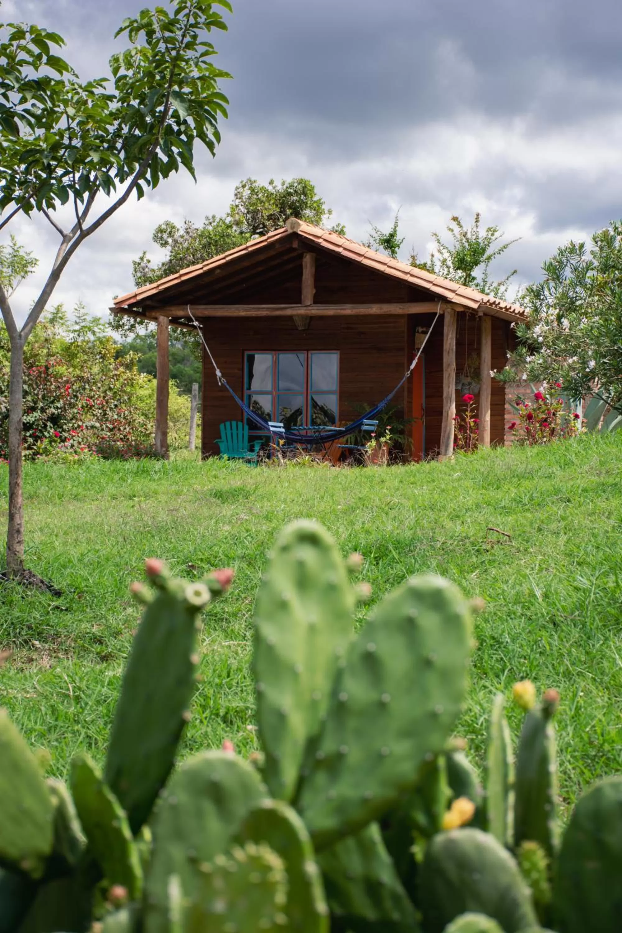 Natural landscape, Garden in Serrania del Viento