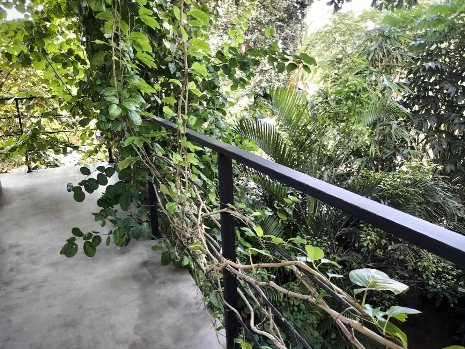 Garden in Weligama Bay Watsila Resort