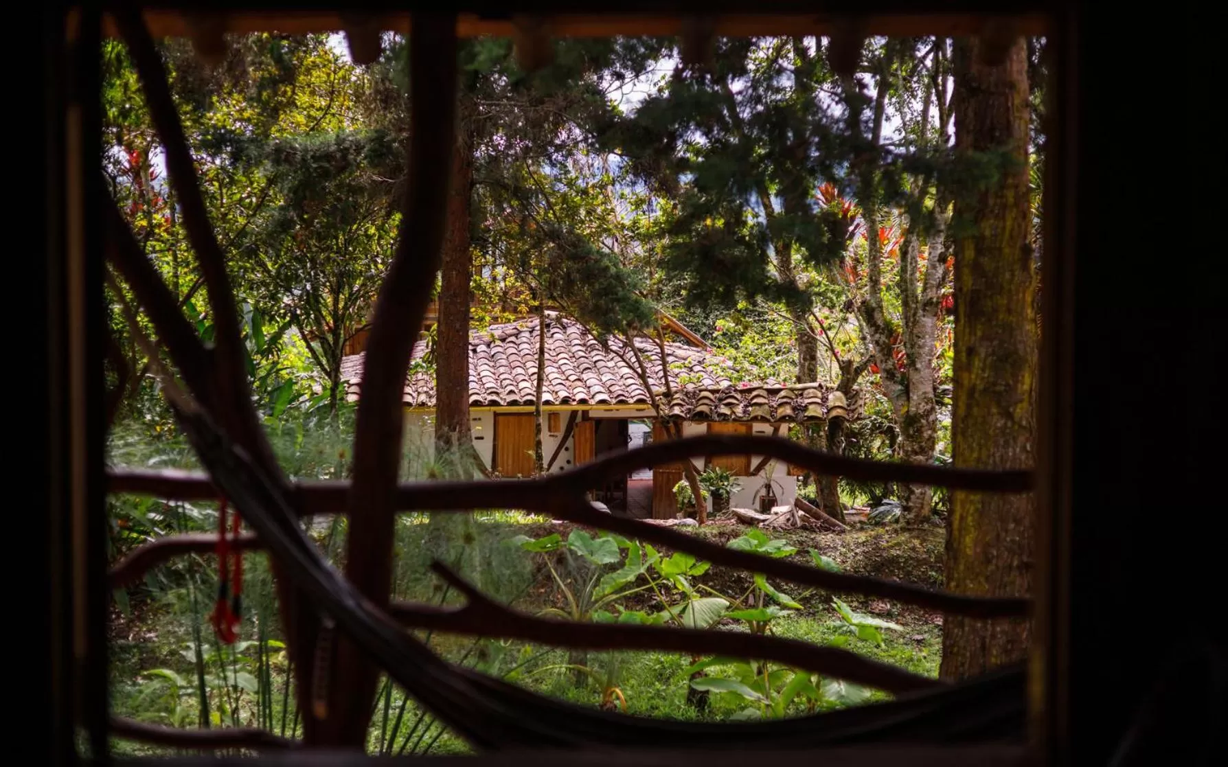 Garden view in Hotel La Casa de Francois