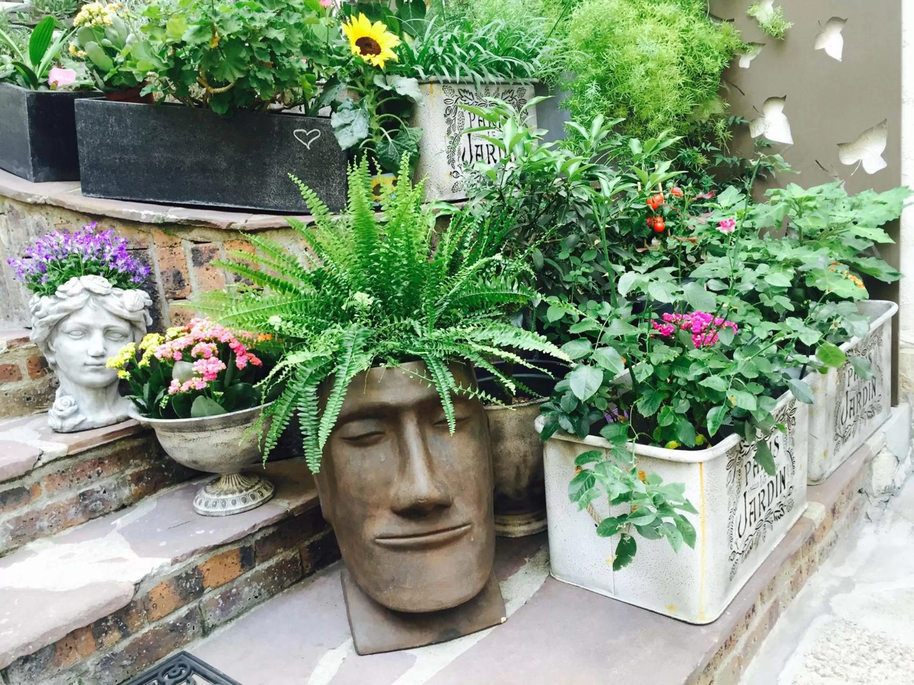 Patio in Le Pavillon Hotel