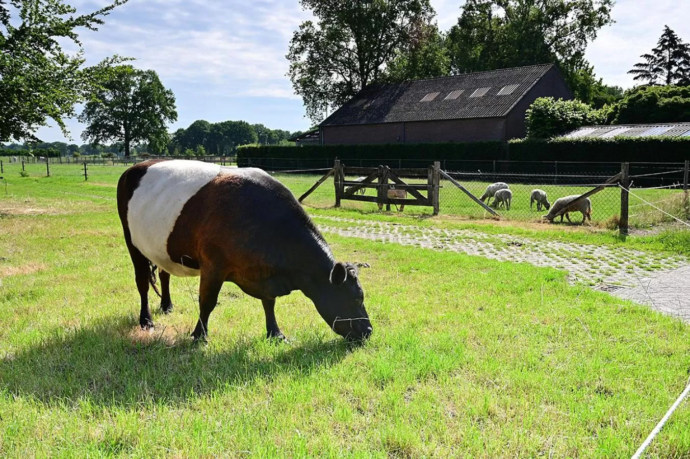 De Lakenvelder B&B Eersel
