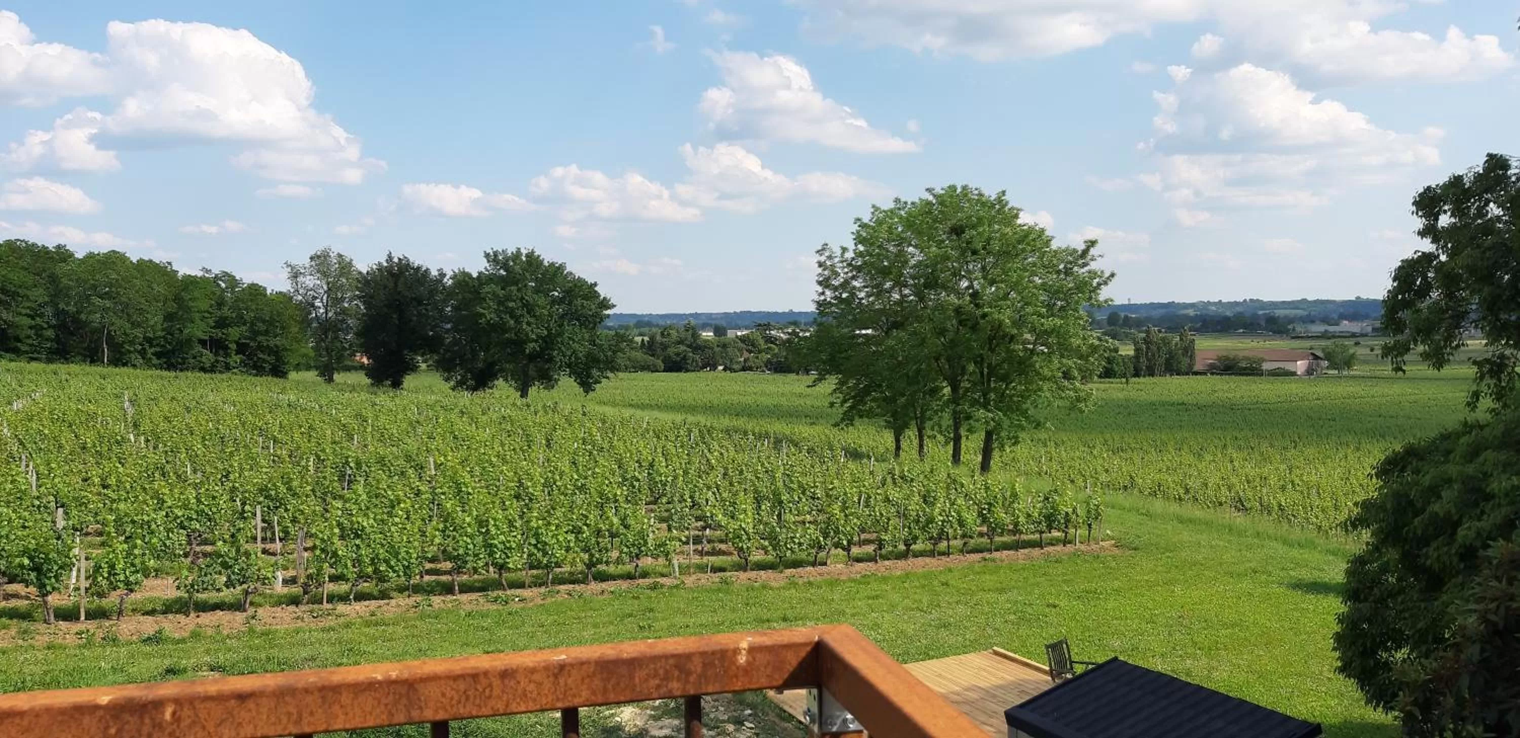 View (from property/room) in A L'OMBRE DE LA TREILLE -Proche Saint-Emilion