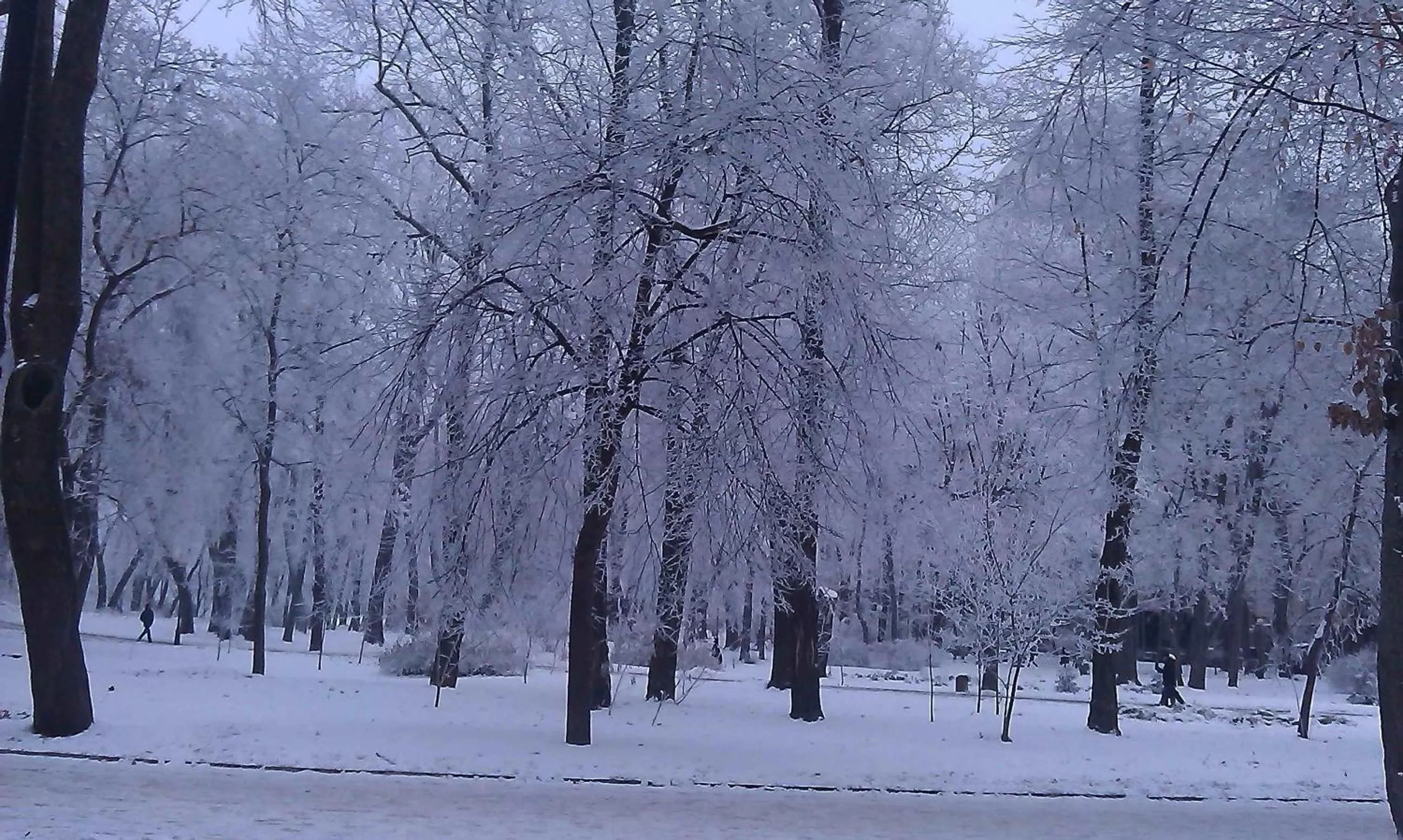 Winter in Belokorichi