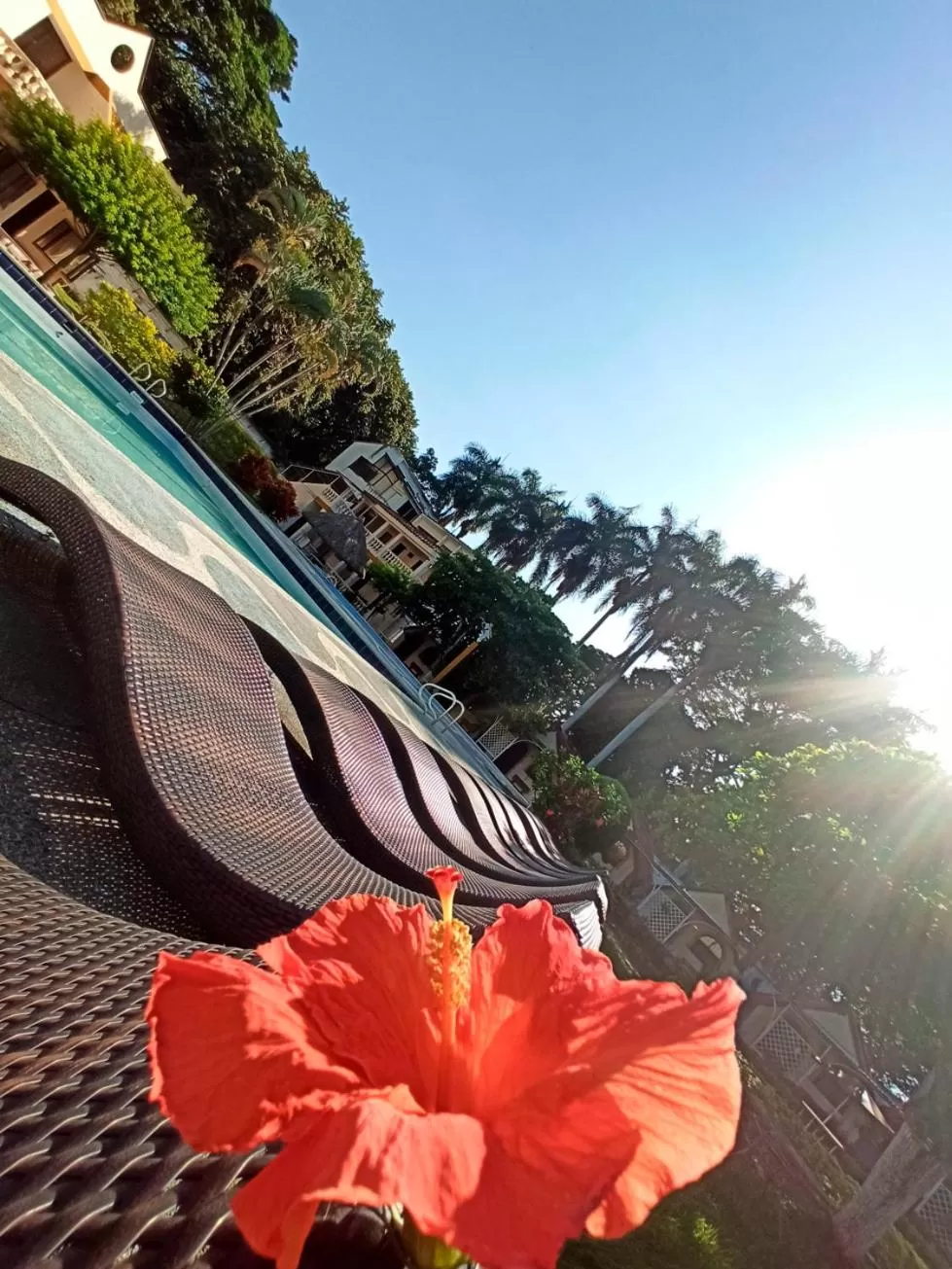 Swimming pool in Hotel Las Victorias Palmira
