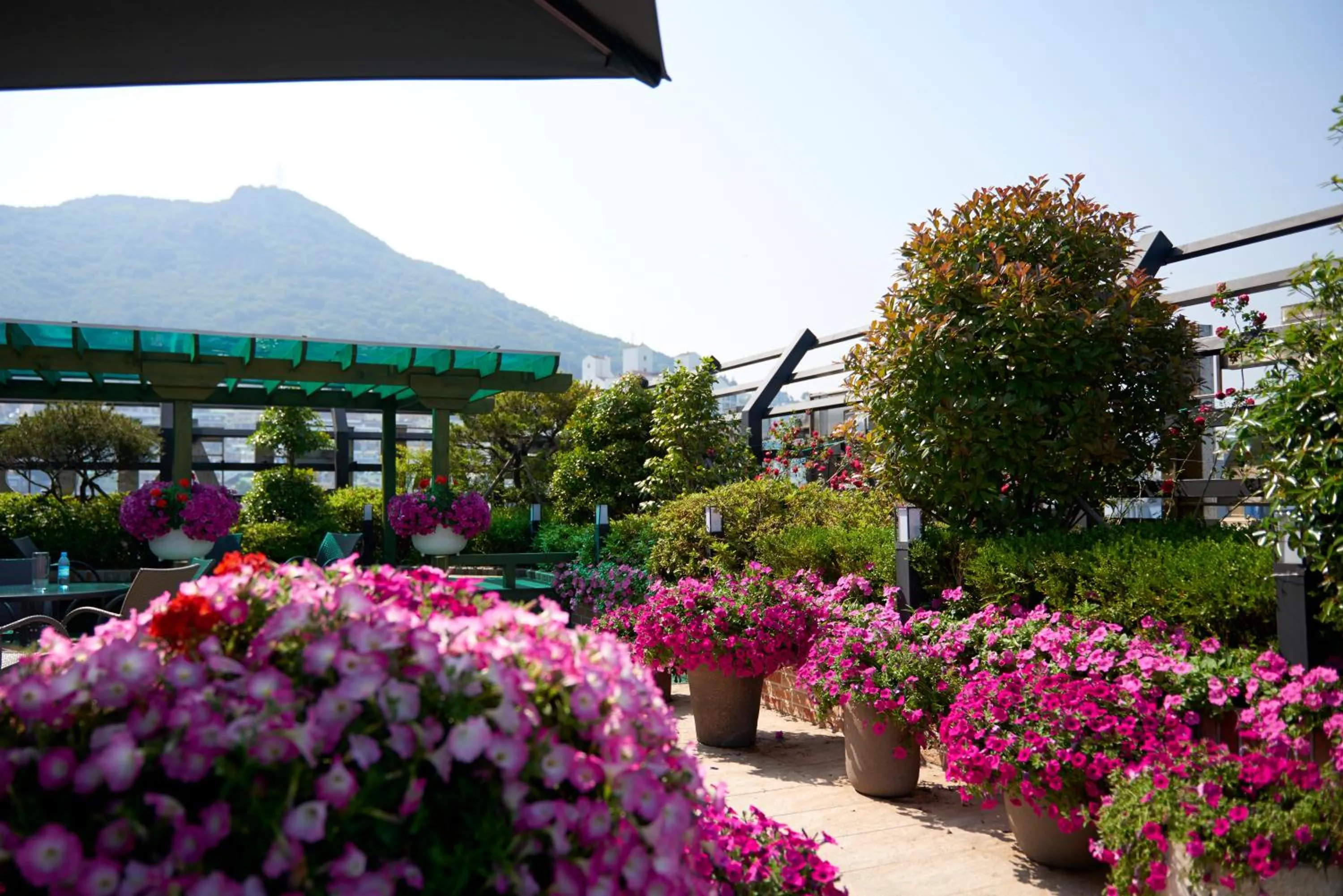 Busan Beach Hotel Busan Songdo