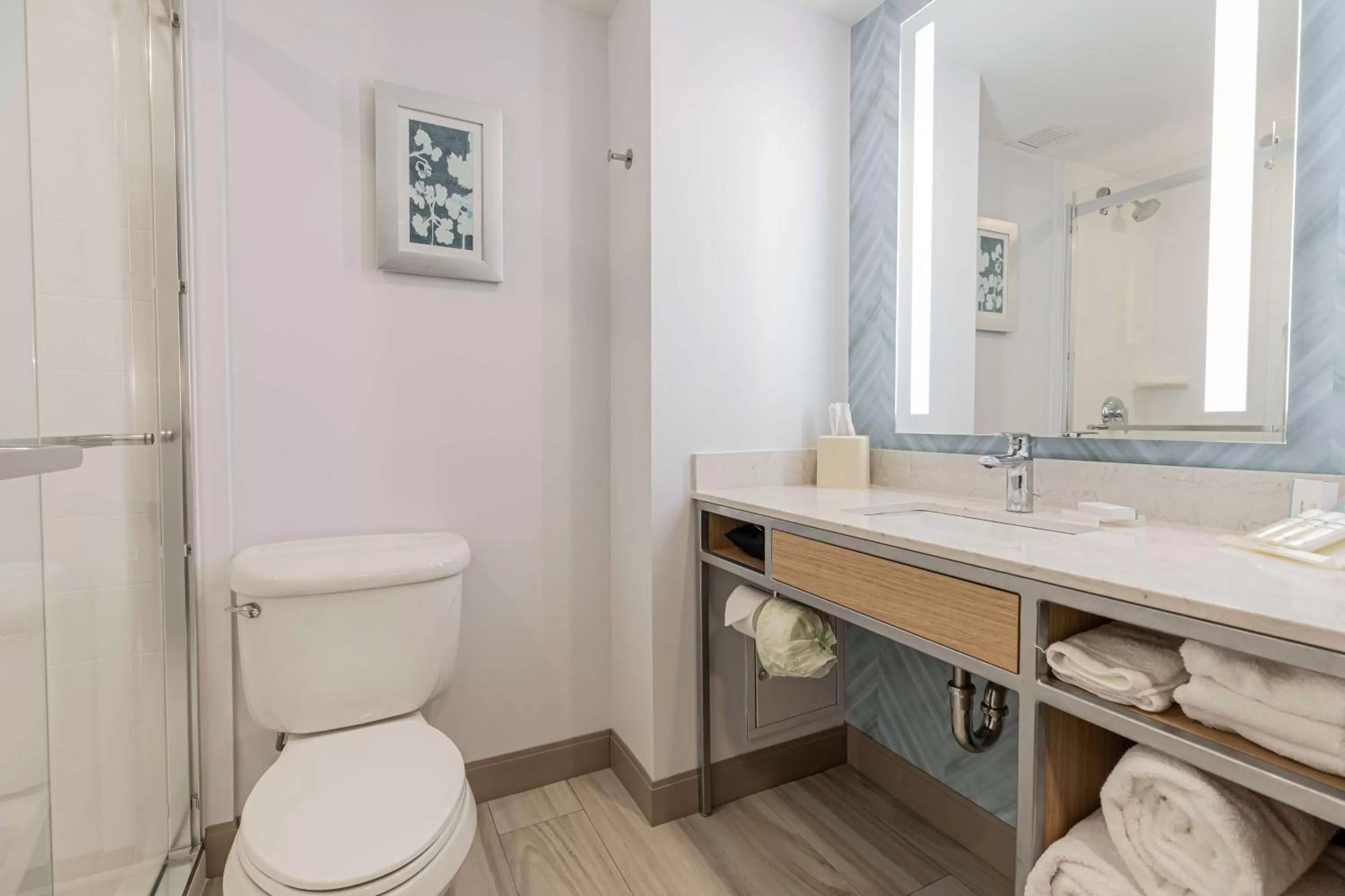 Bathroom in Hilton Garden Inn Ithaca