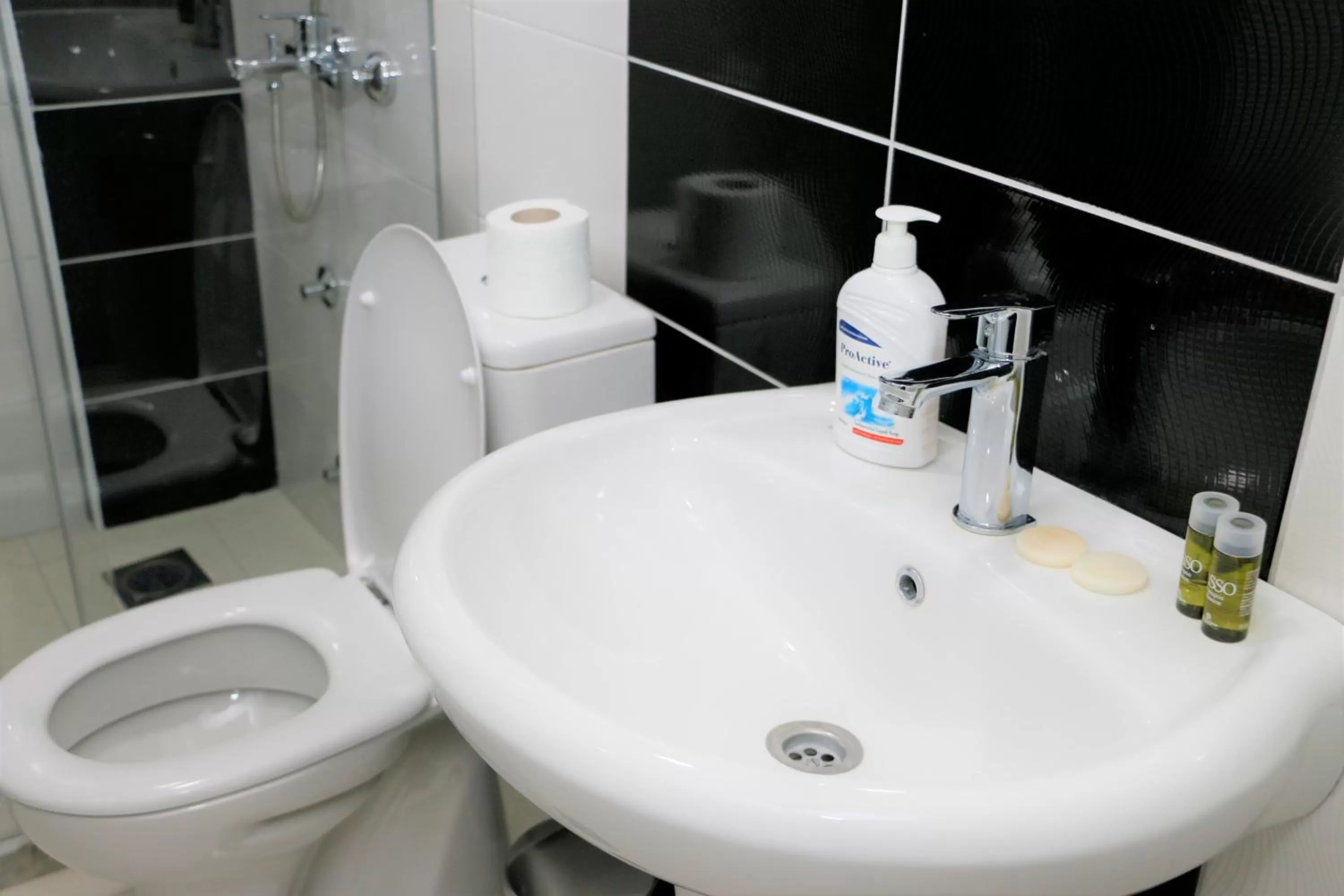 Decorative detail, Bathroom in Hotel Old Konak