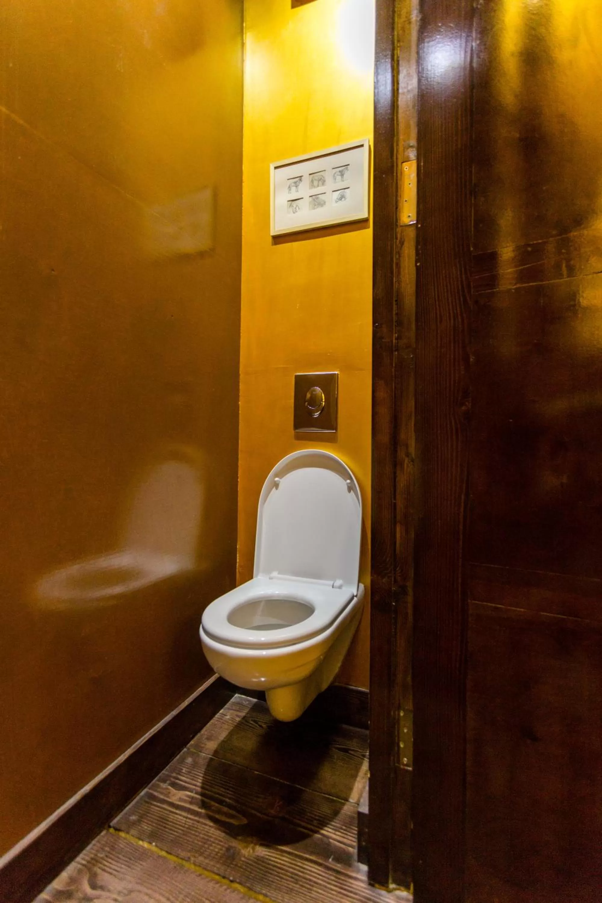 Toilet in Castle in Old Town