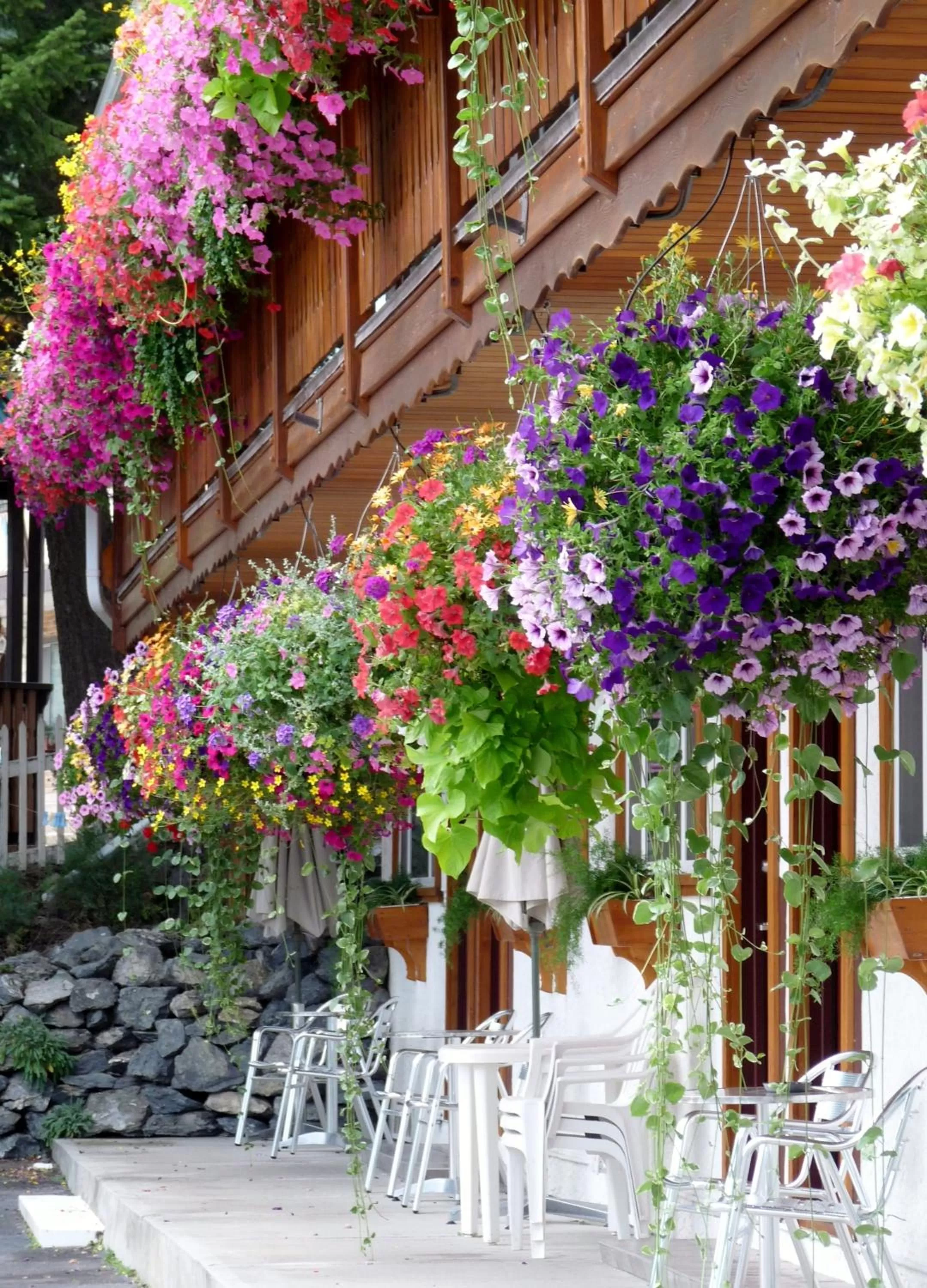 Patio in Gateway Motel