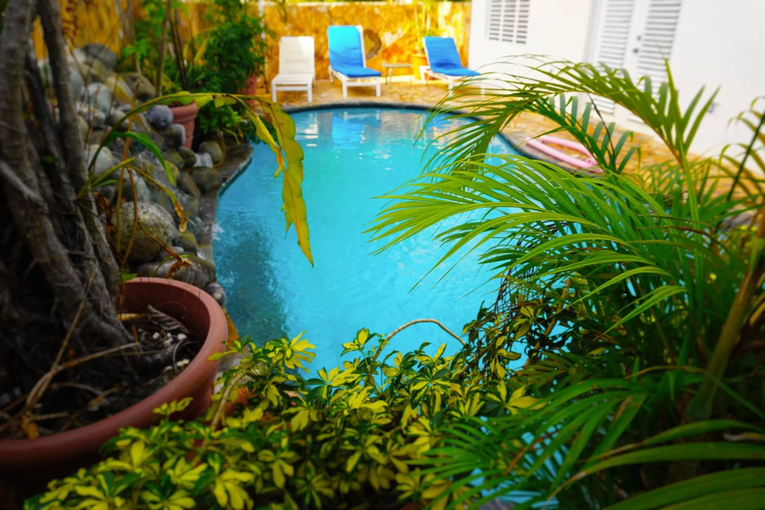 Day in At Wind Chimes Boutique Hotel