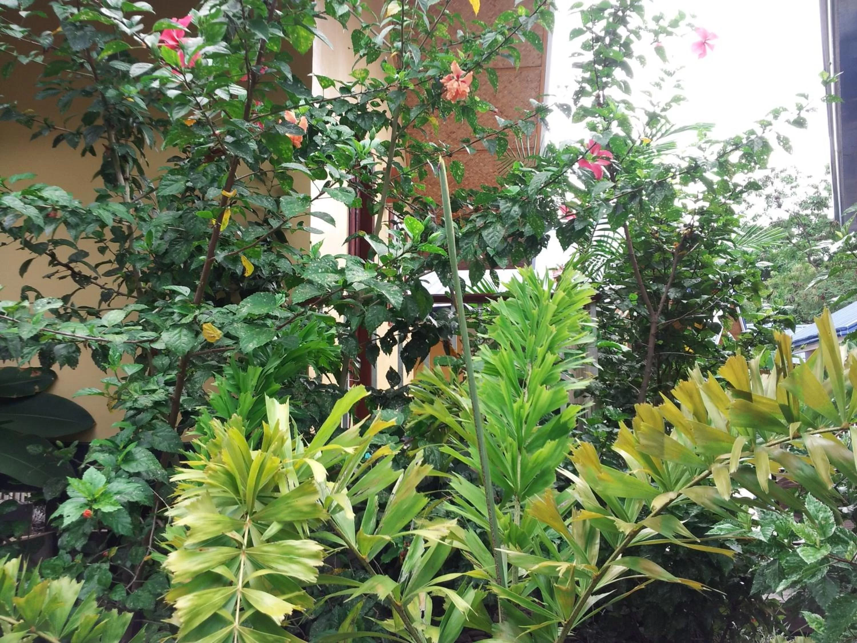 Garden in Blue Lagoon Inn & Suites