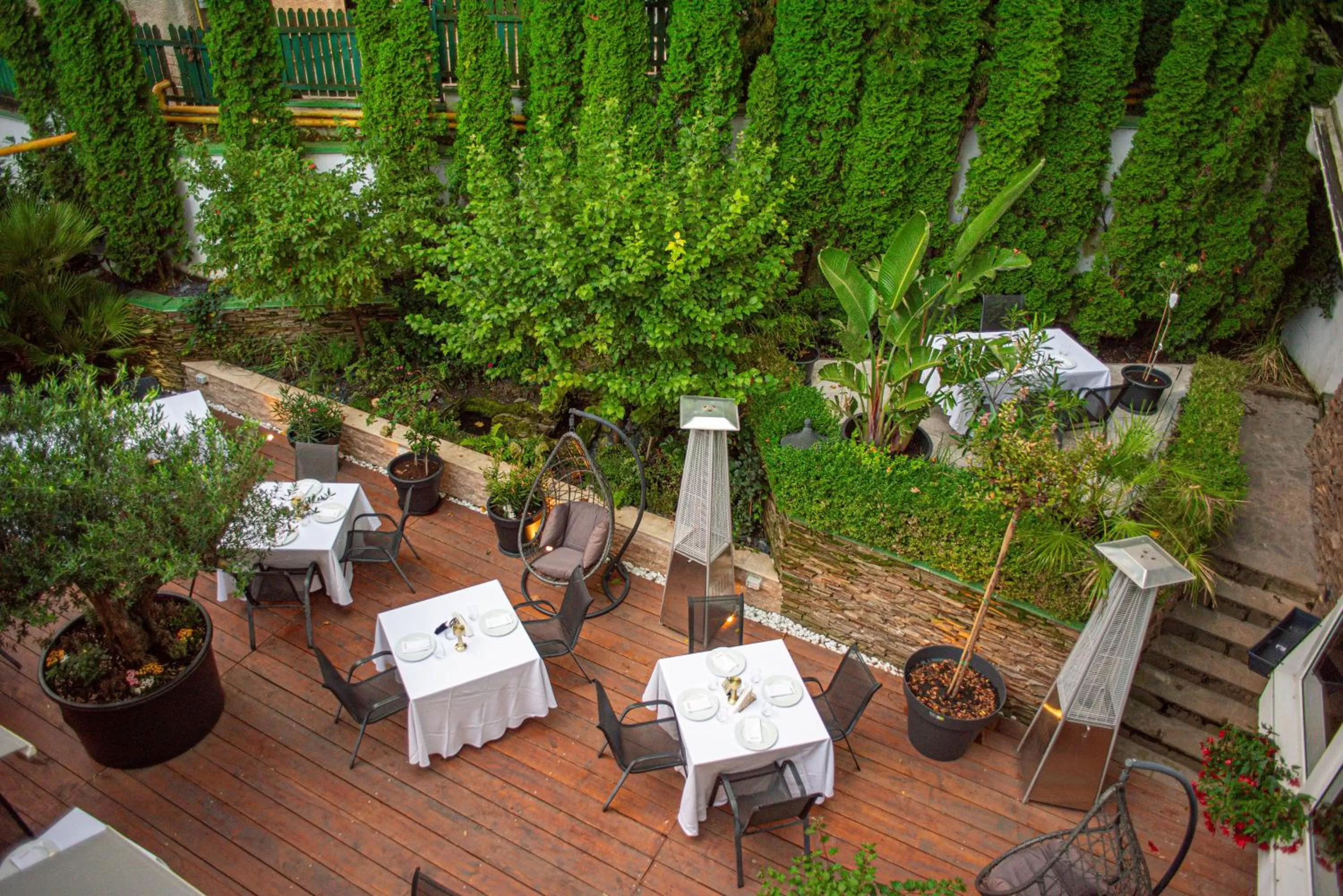 Garden in Hotel Carpathia