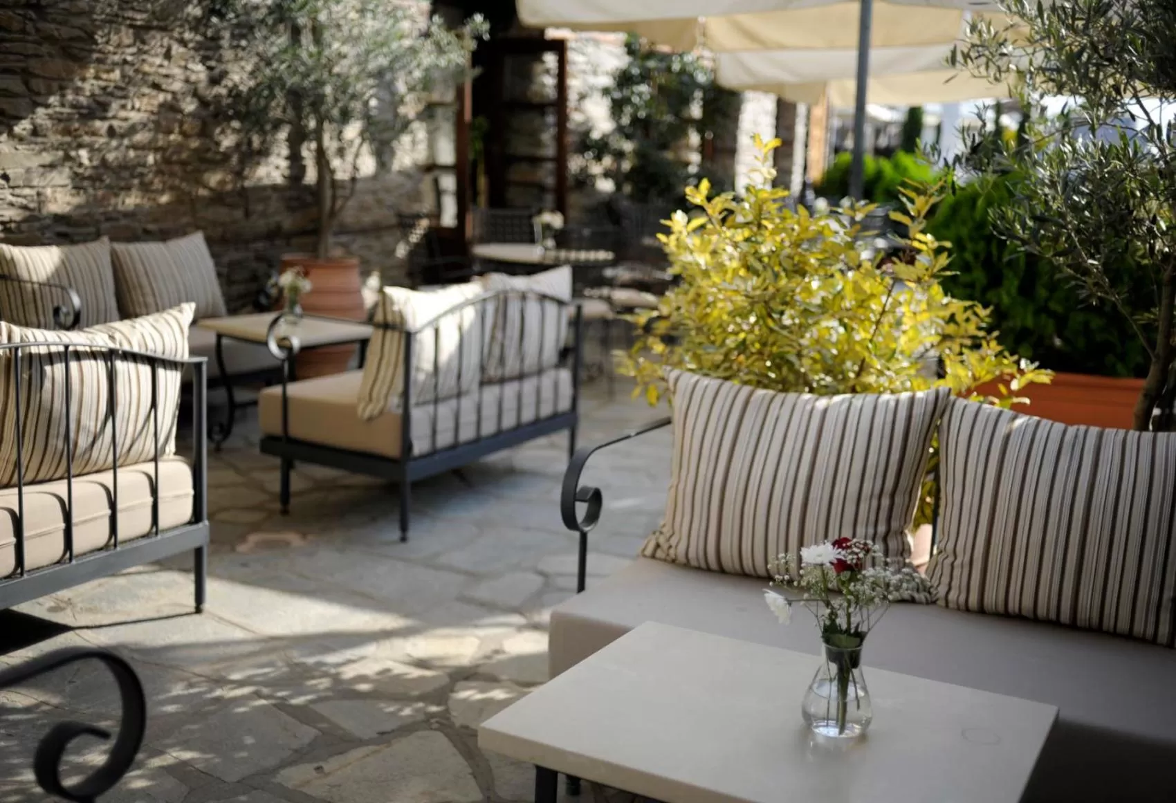 Patio in Marelia Hotel