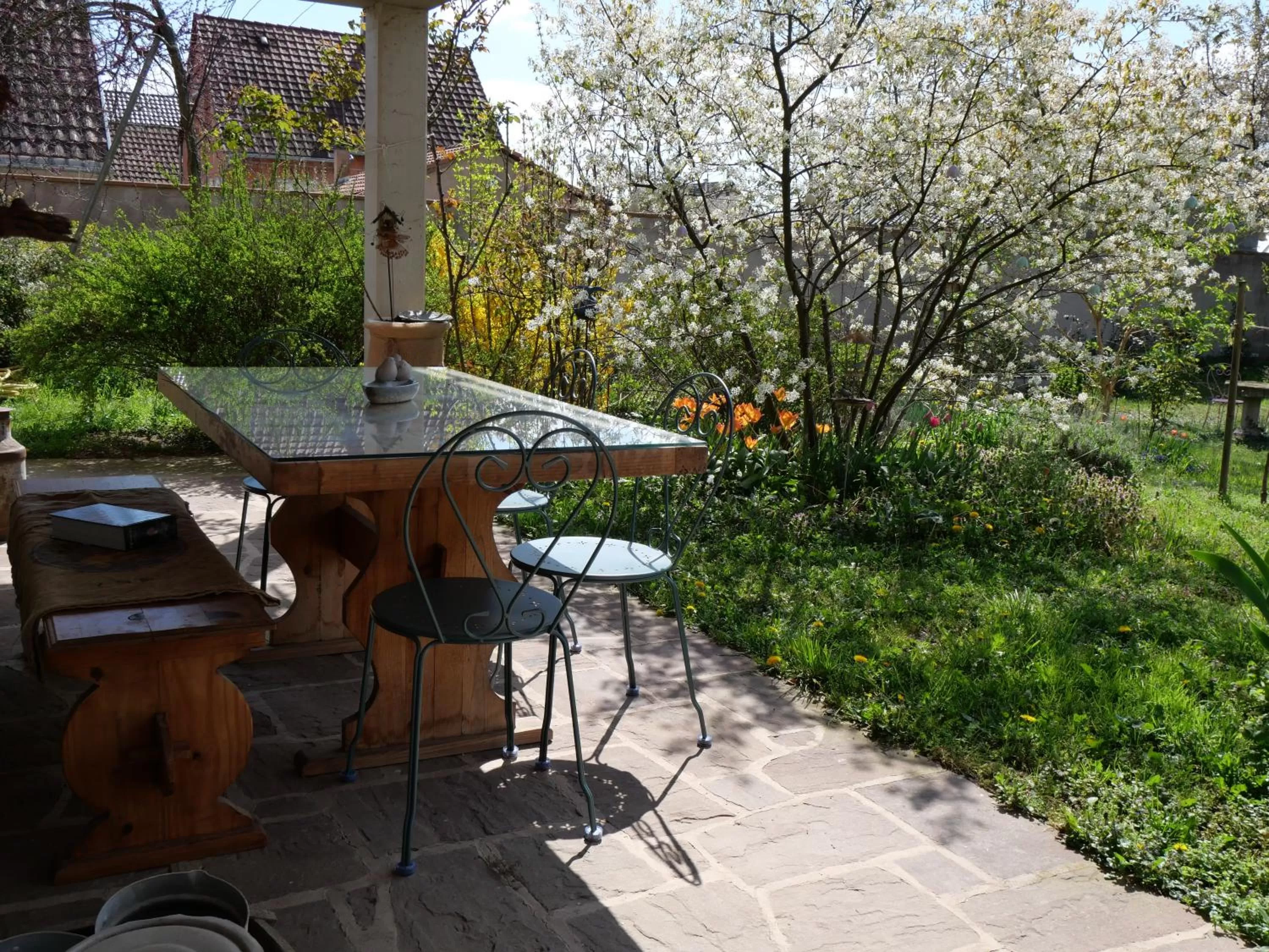 Patio, BBQ Facilities in Hissele