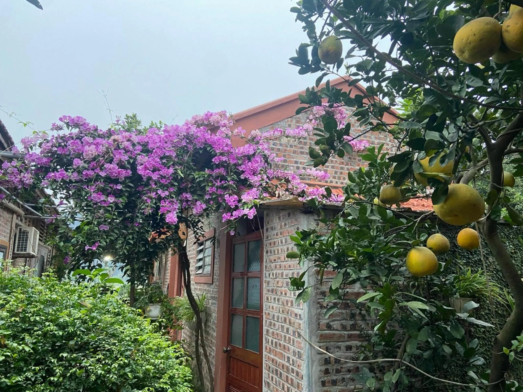 Property Building in Tam Coc Mountain View Homestay