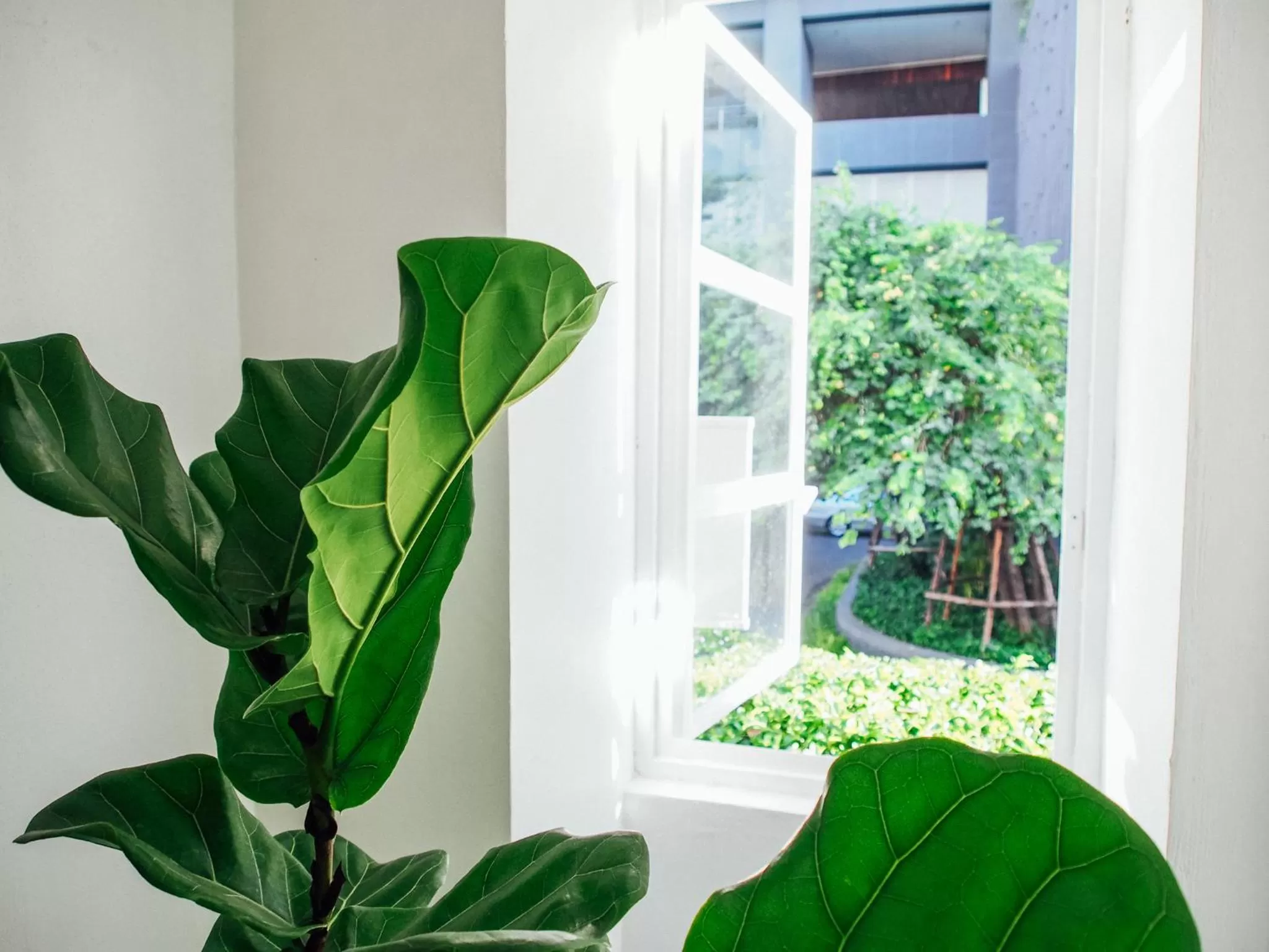 Property building in Varmtel