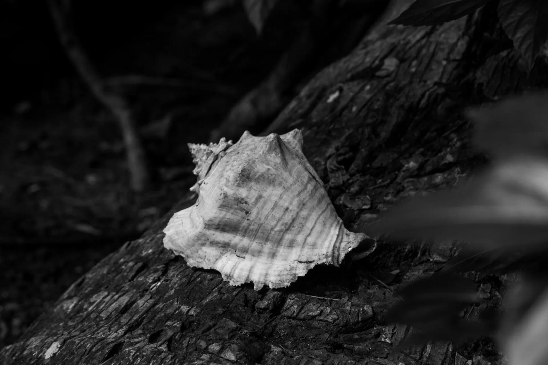 Other, Winter in Carmen's place