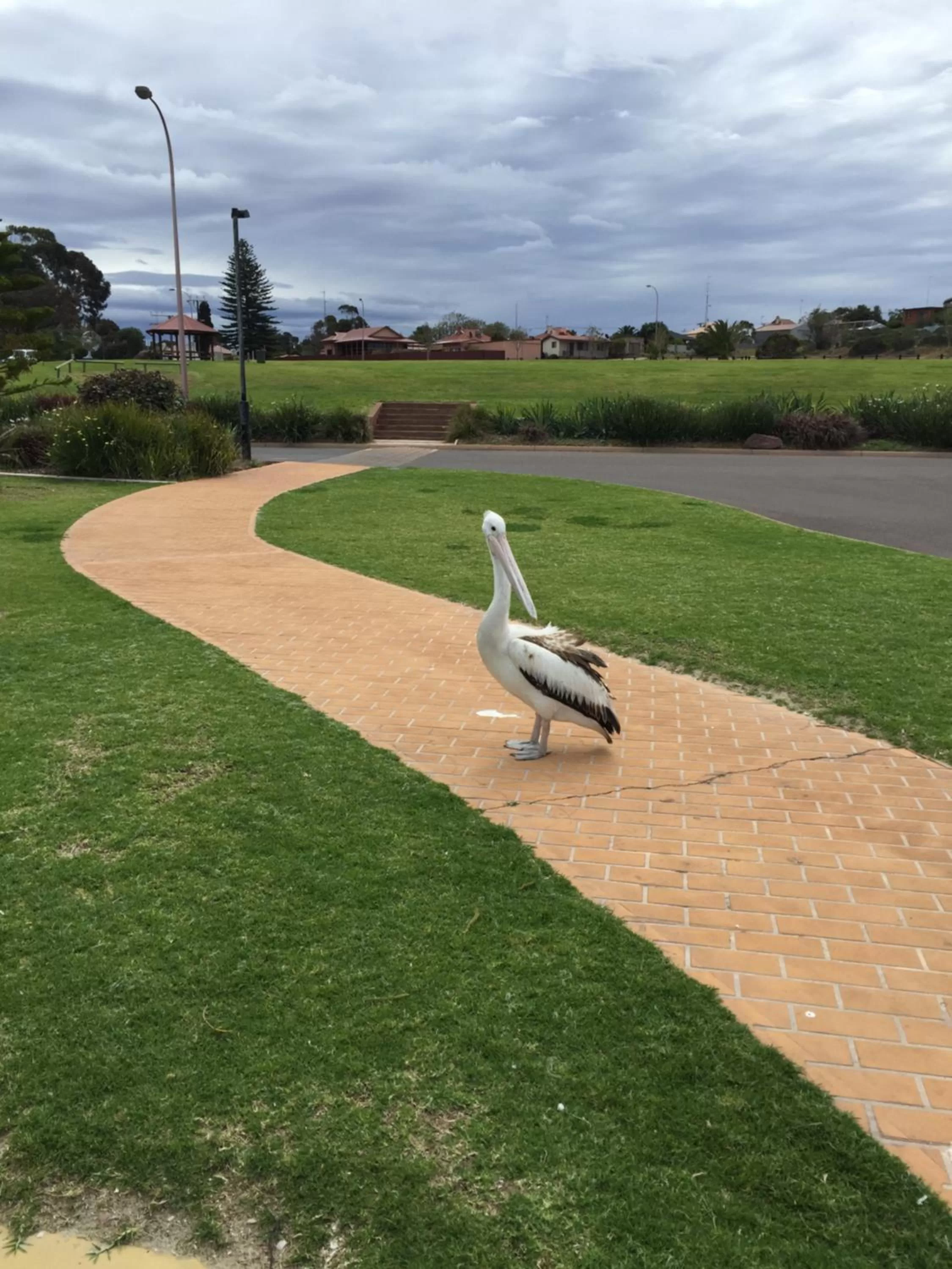 Beach in Foreshore Motor Inn