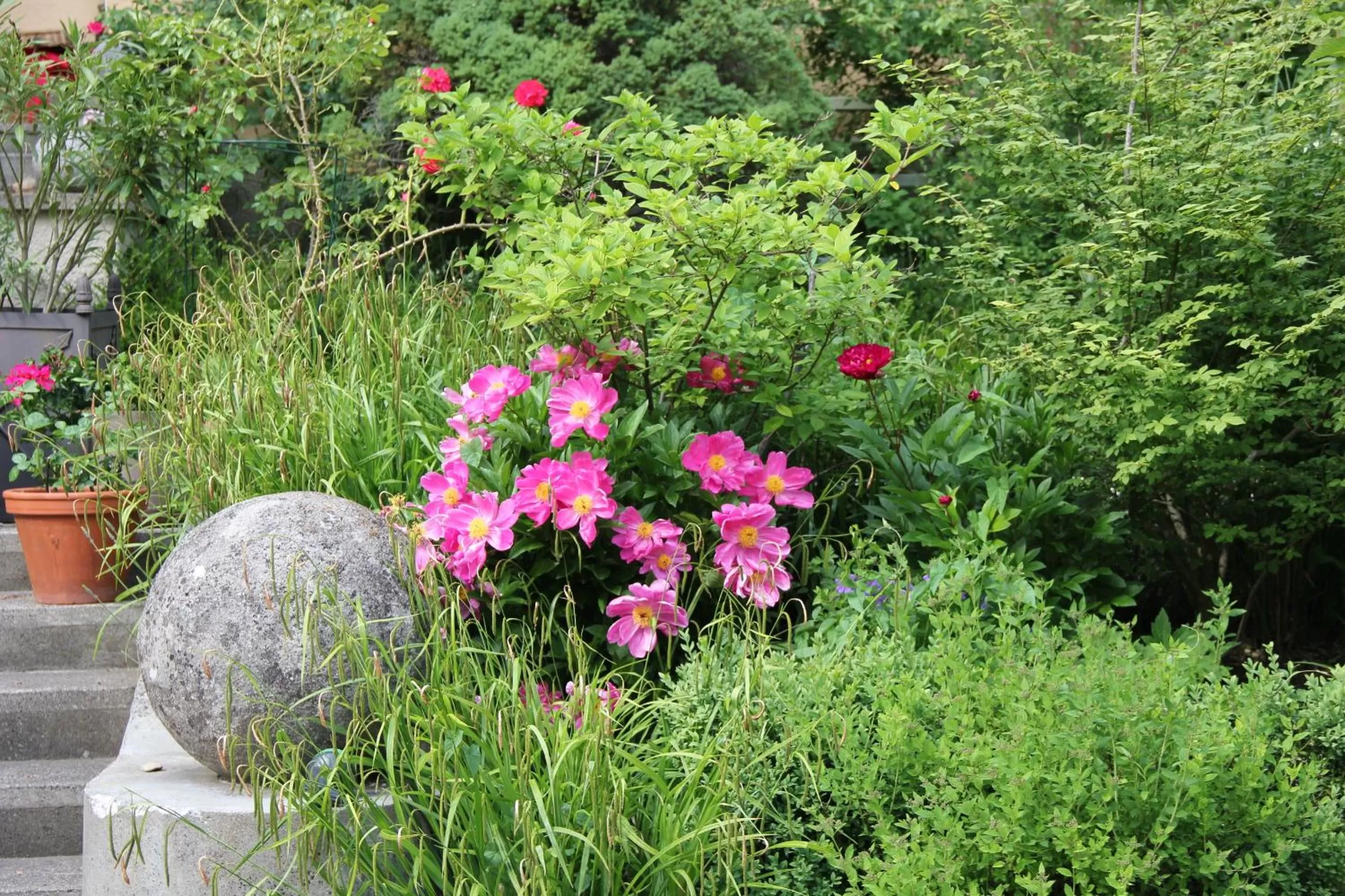 Decorative detail, Garden in Villa Zollhaus Bed & Breakfast