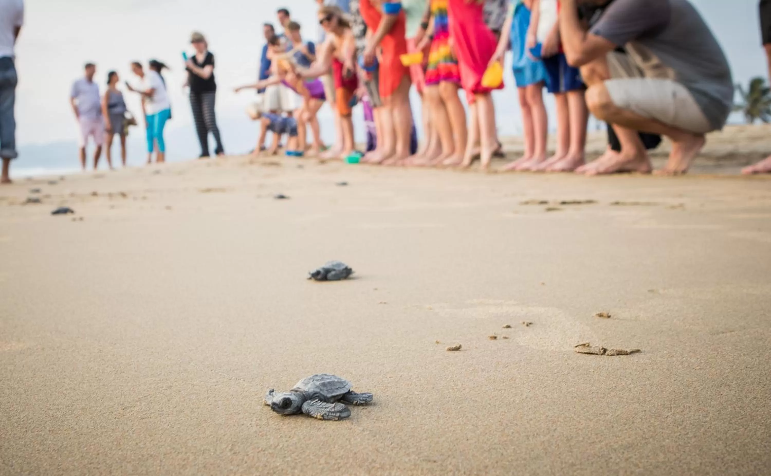 Activities in Marea Beachfront Villas