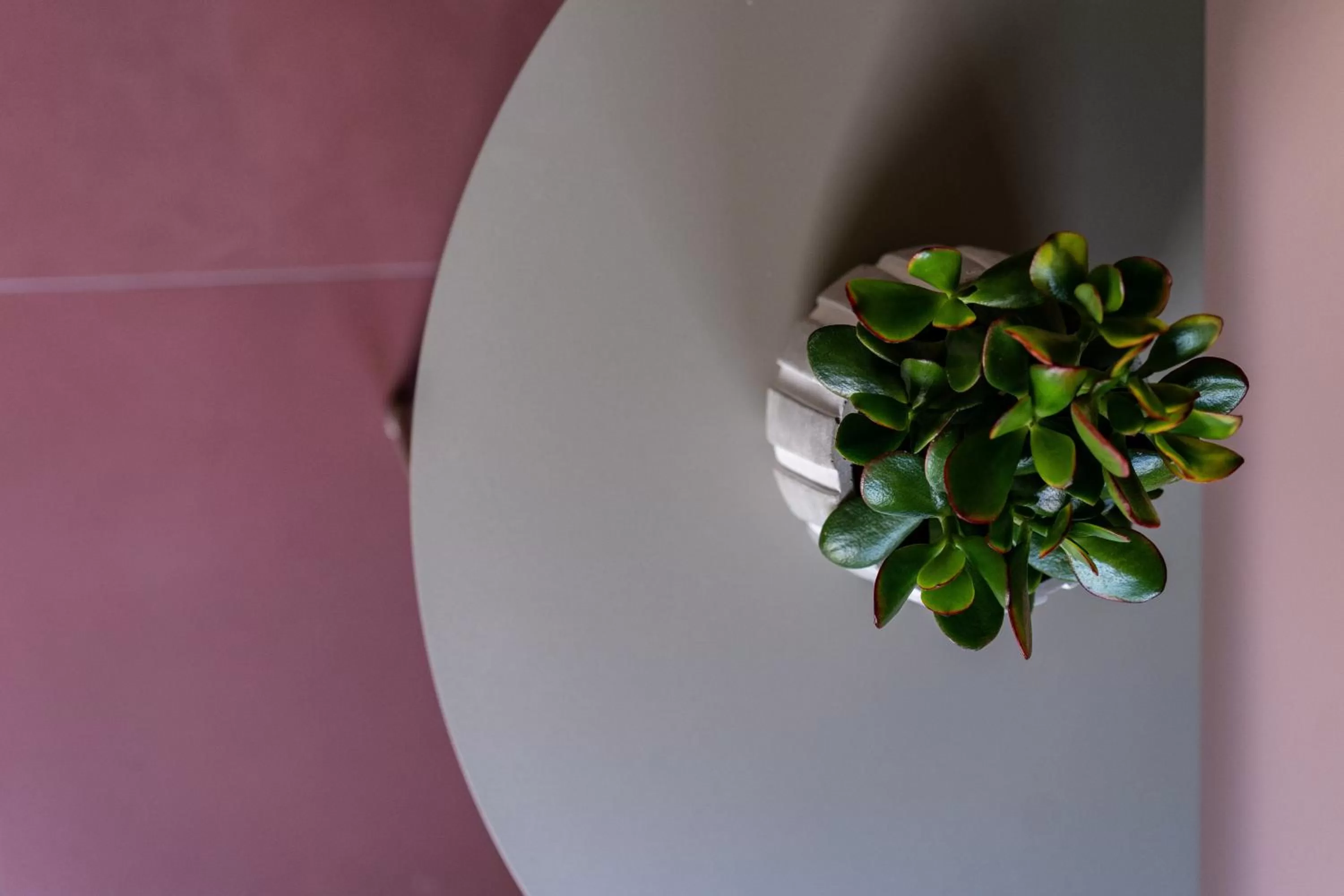 Decorative detail in Alkima Athens Wellness Stay