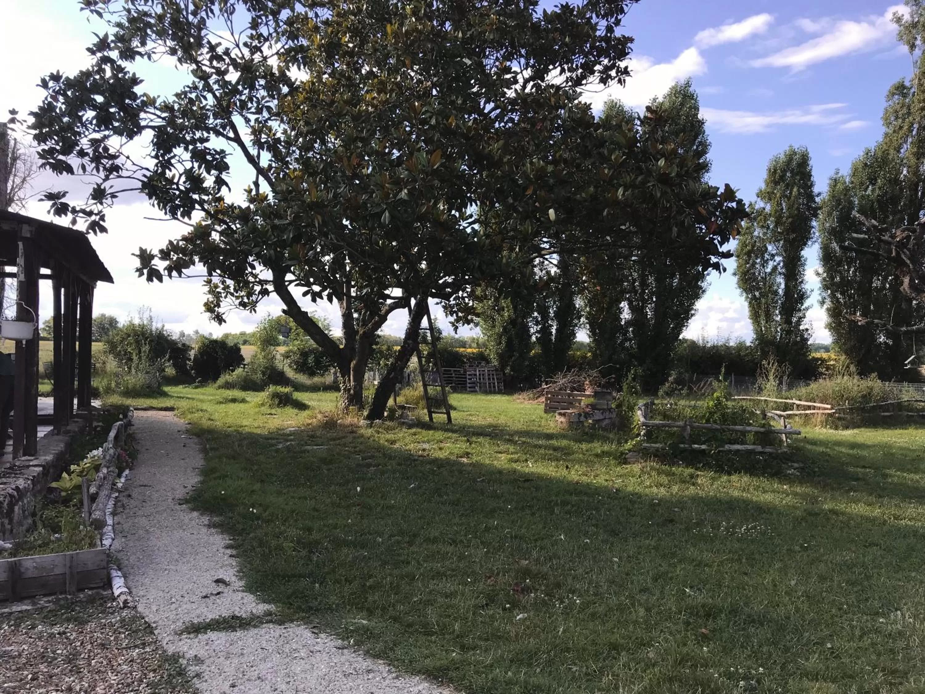 Garden in Chez Gustave & Compagnie