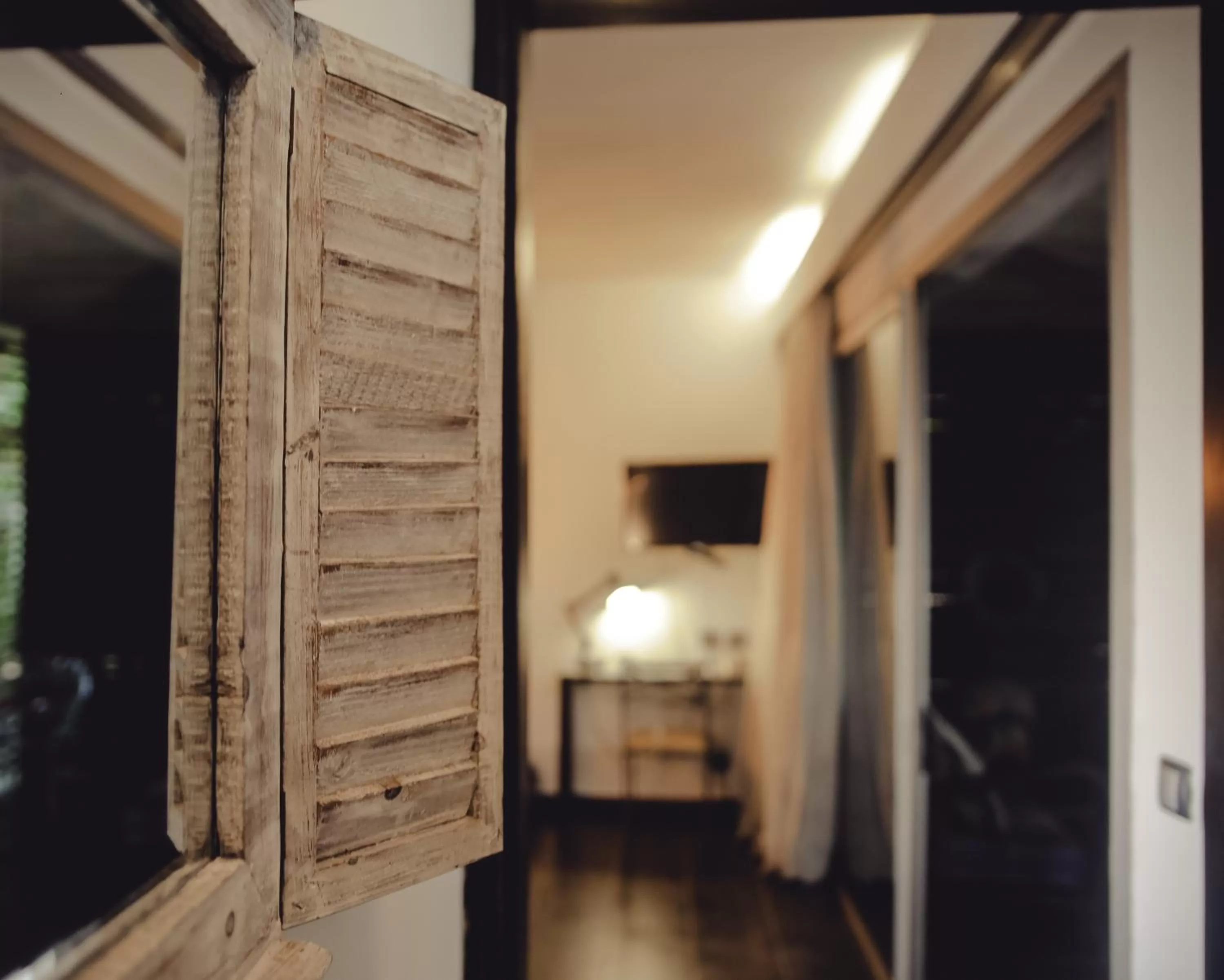 Decorative detail, TV/Entertainment Center in Boutique Hotel Particulier