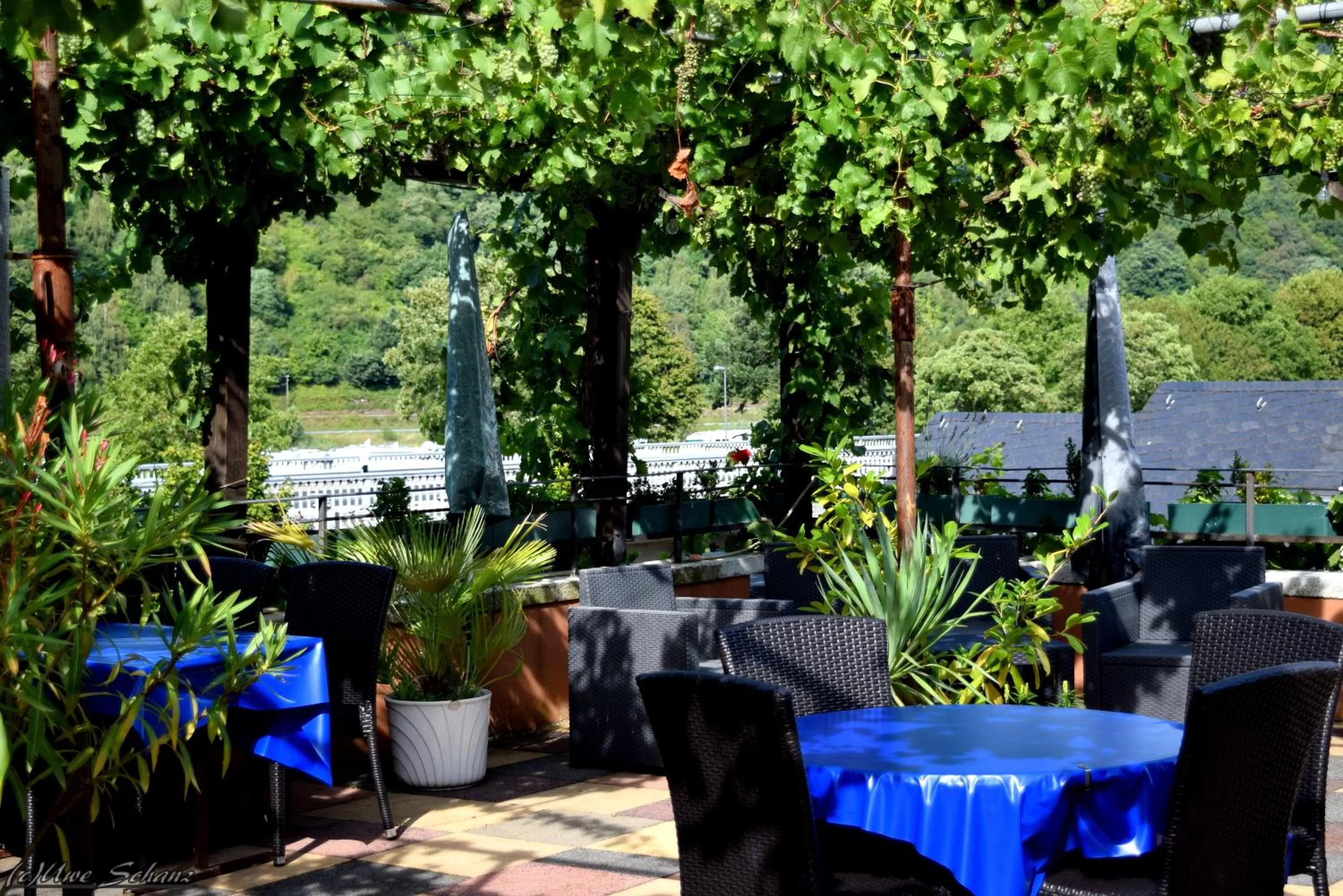 Balcony/Terrace in Mosel Weinhotel Steffensberg