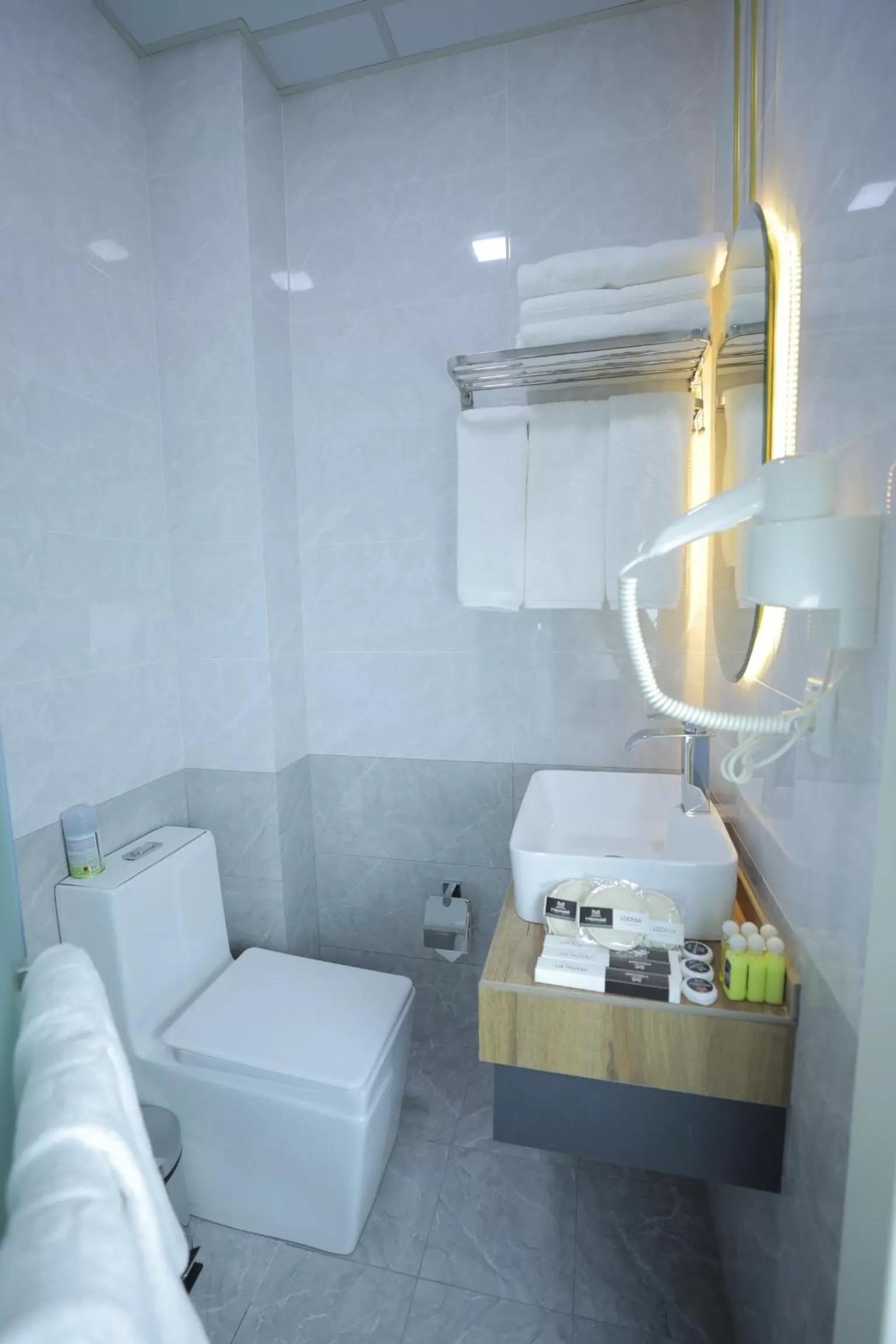 Toilet in MaxWell Hotel & SPA