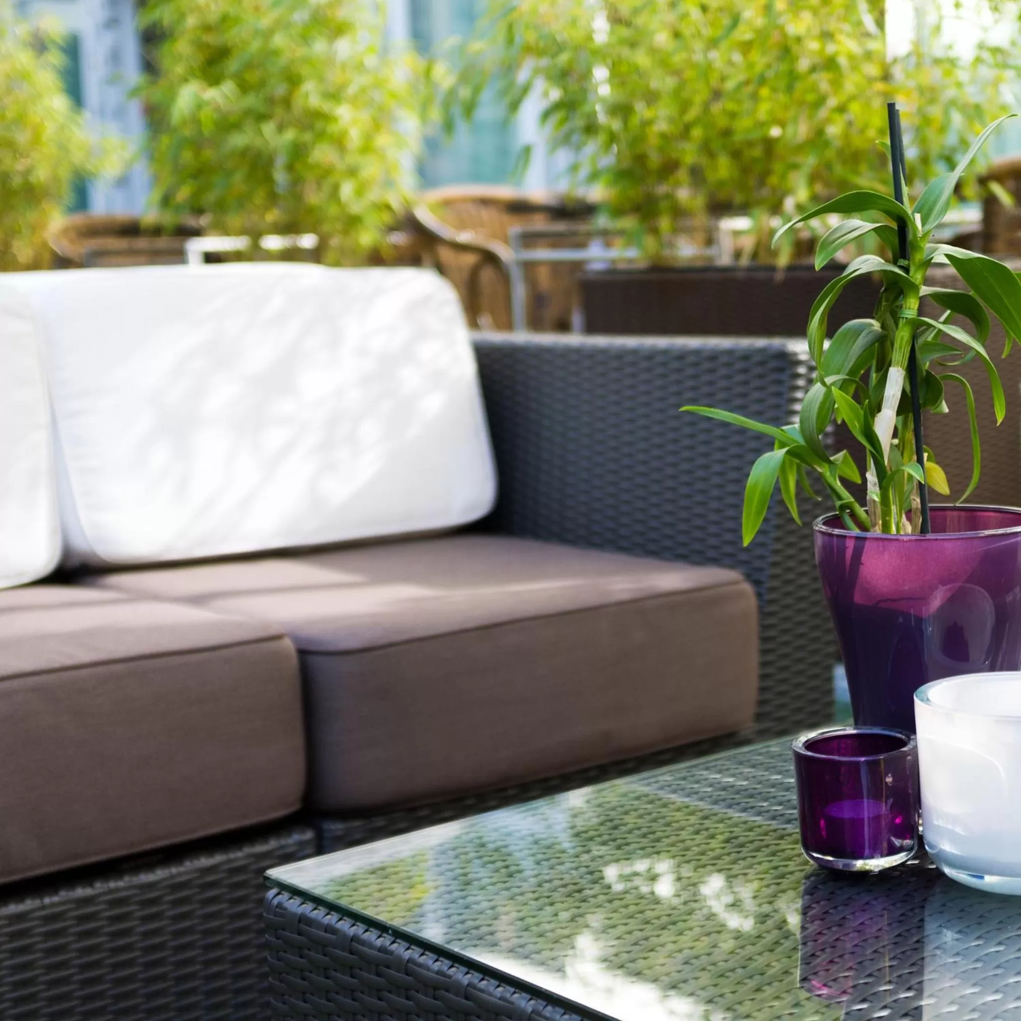 Garden in Hotel Europa