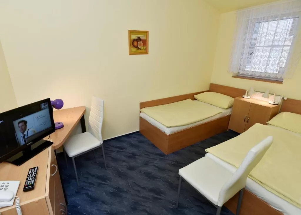 Twin Room with Bathroom in Hotel U Jezírka