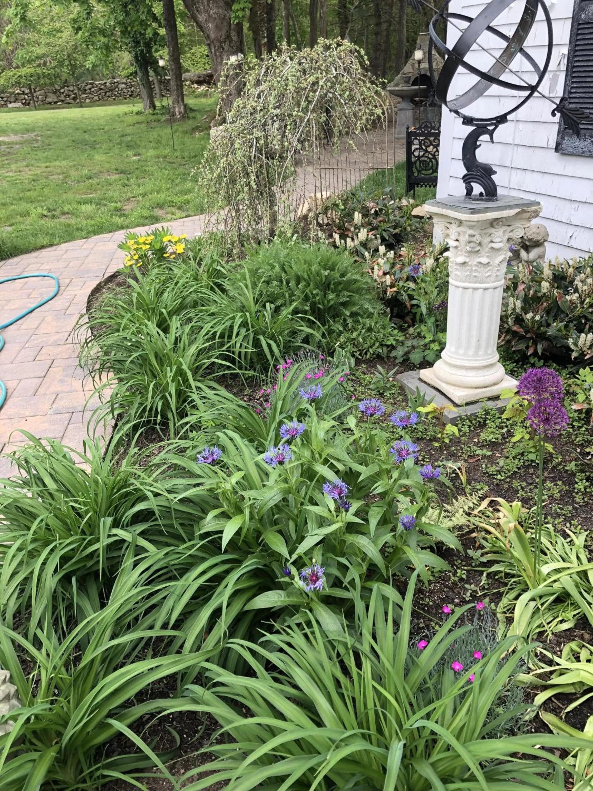 Other, Garden in Silvershell Inn